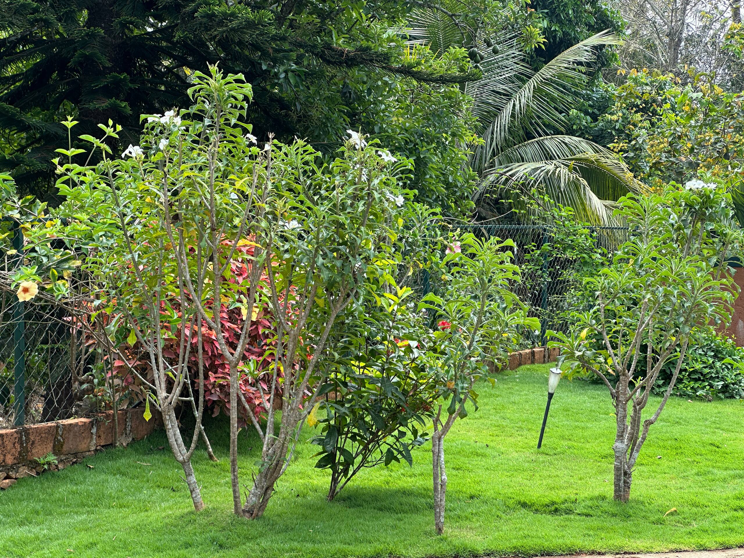 Karthika Homestay 27