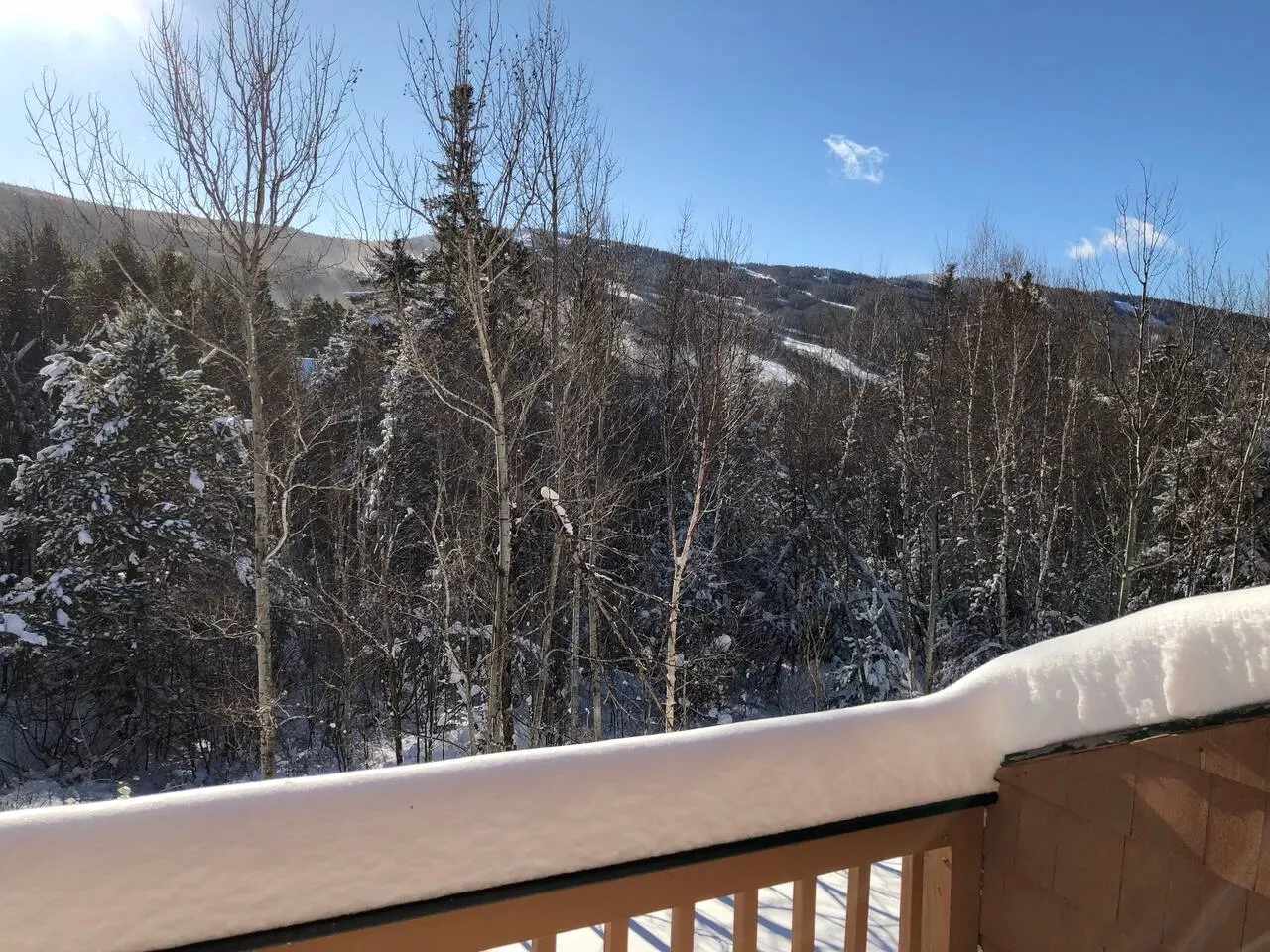 5 bed- 4 Bath Bretton Woods Pool Passes 1Gig wifi 17