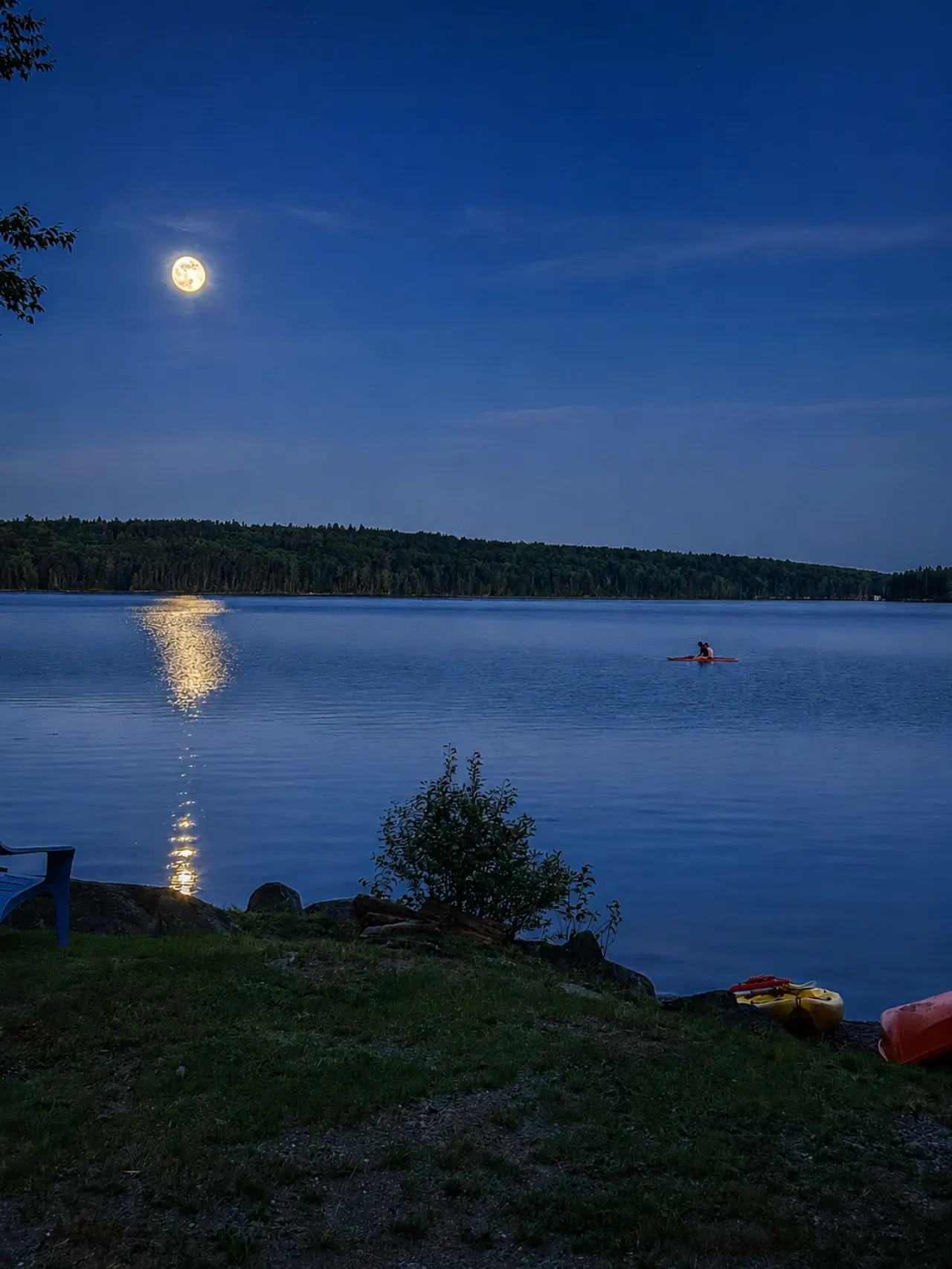 Oasis on Wilson Pond*Waterfront*Boat launch*Pet Friendly 19