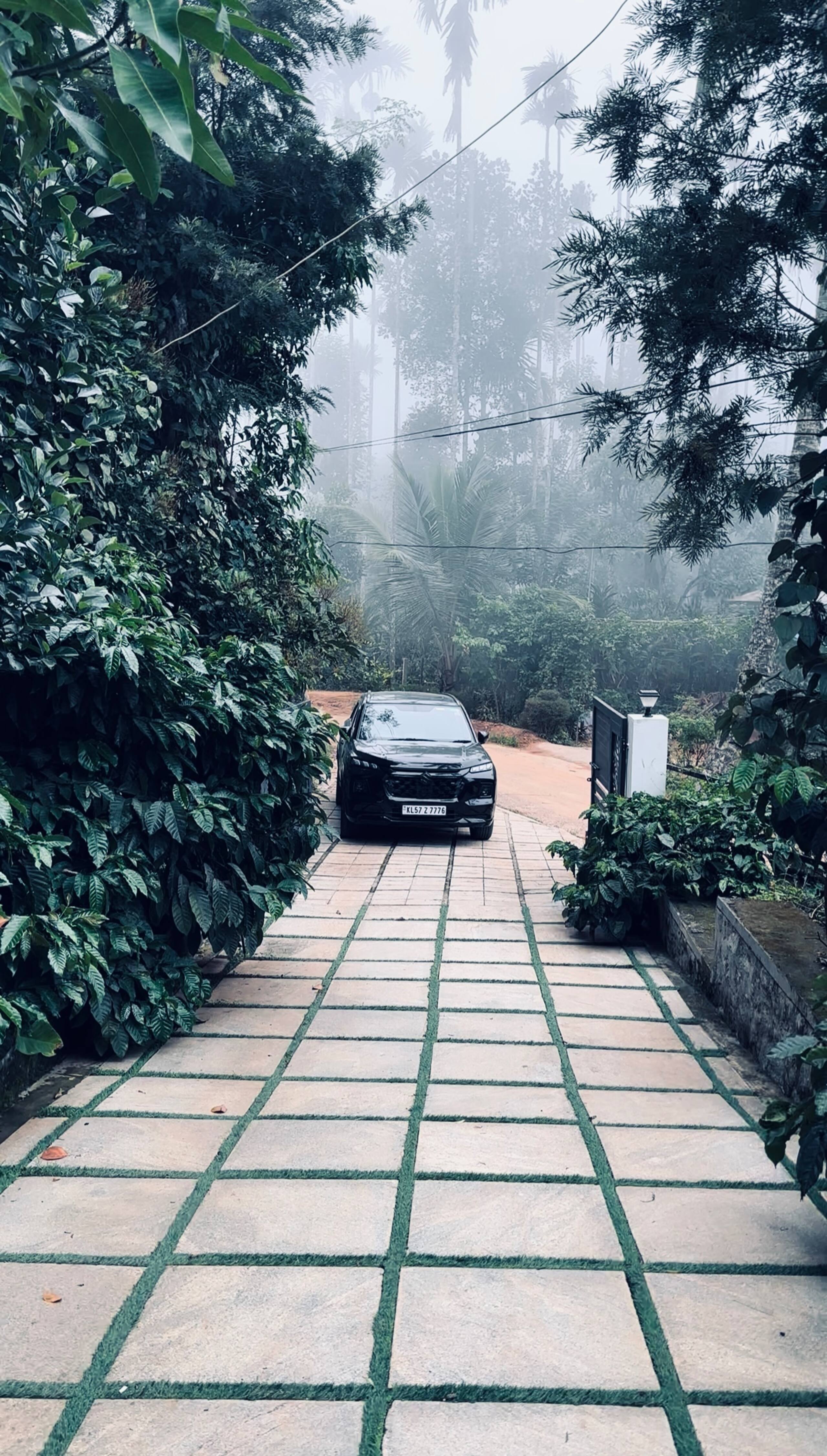 Aanandam Villa | An Entire Private 2BHK, Wayanad 39