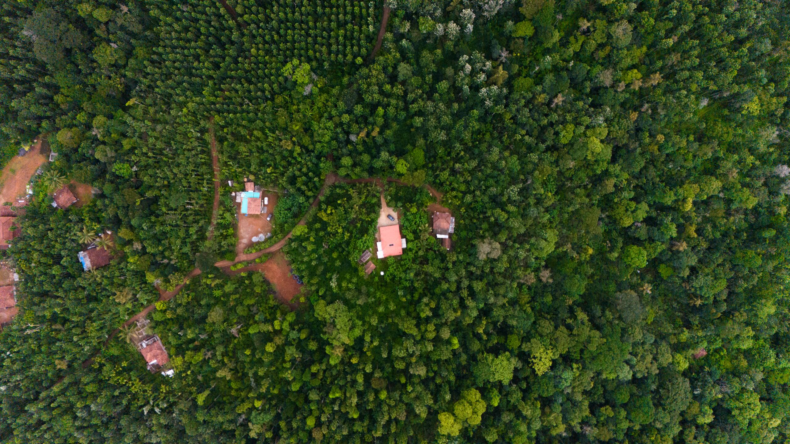 Chilipili Retreat — photo 2