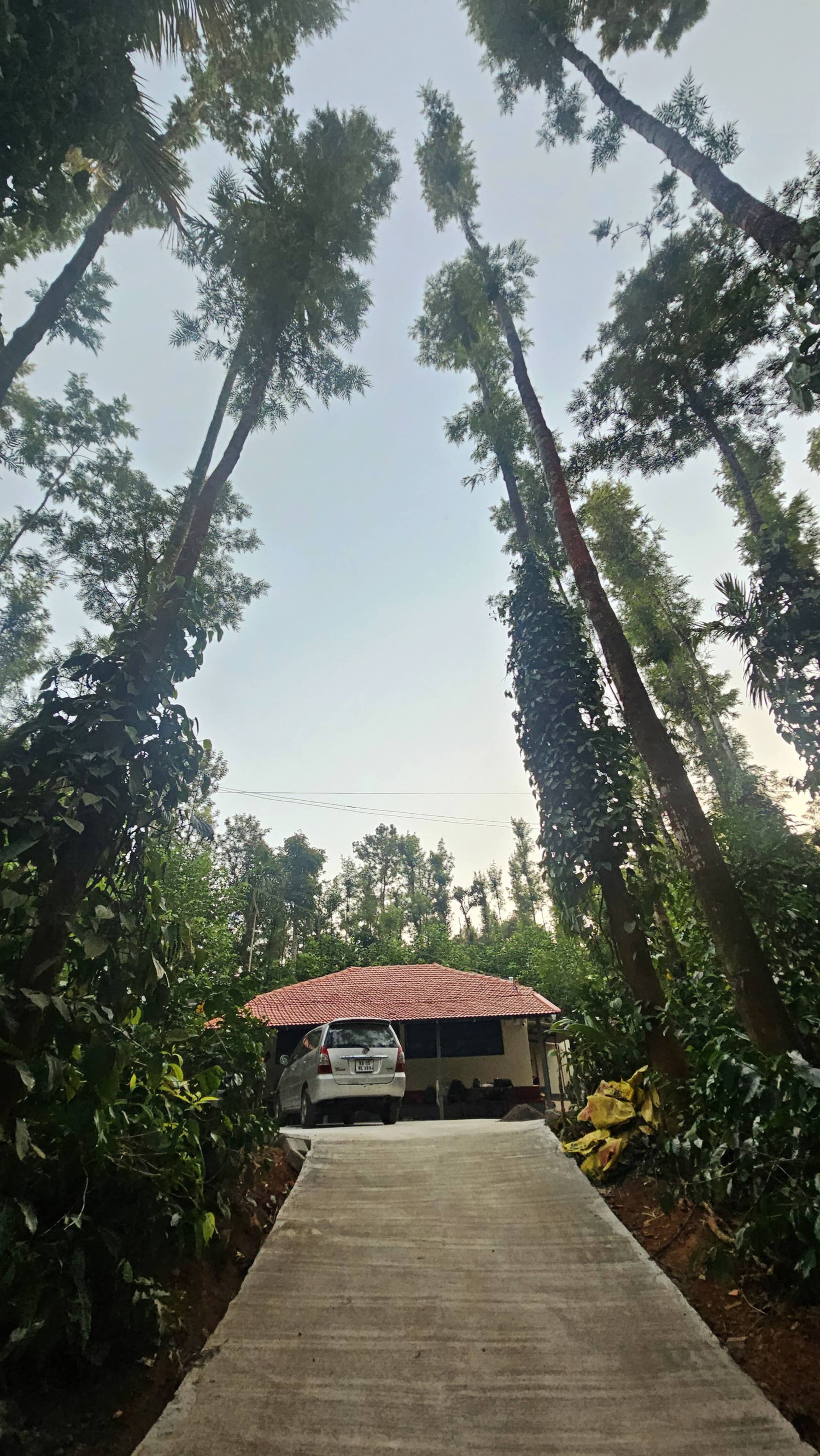 Chilipili Retreat 7