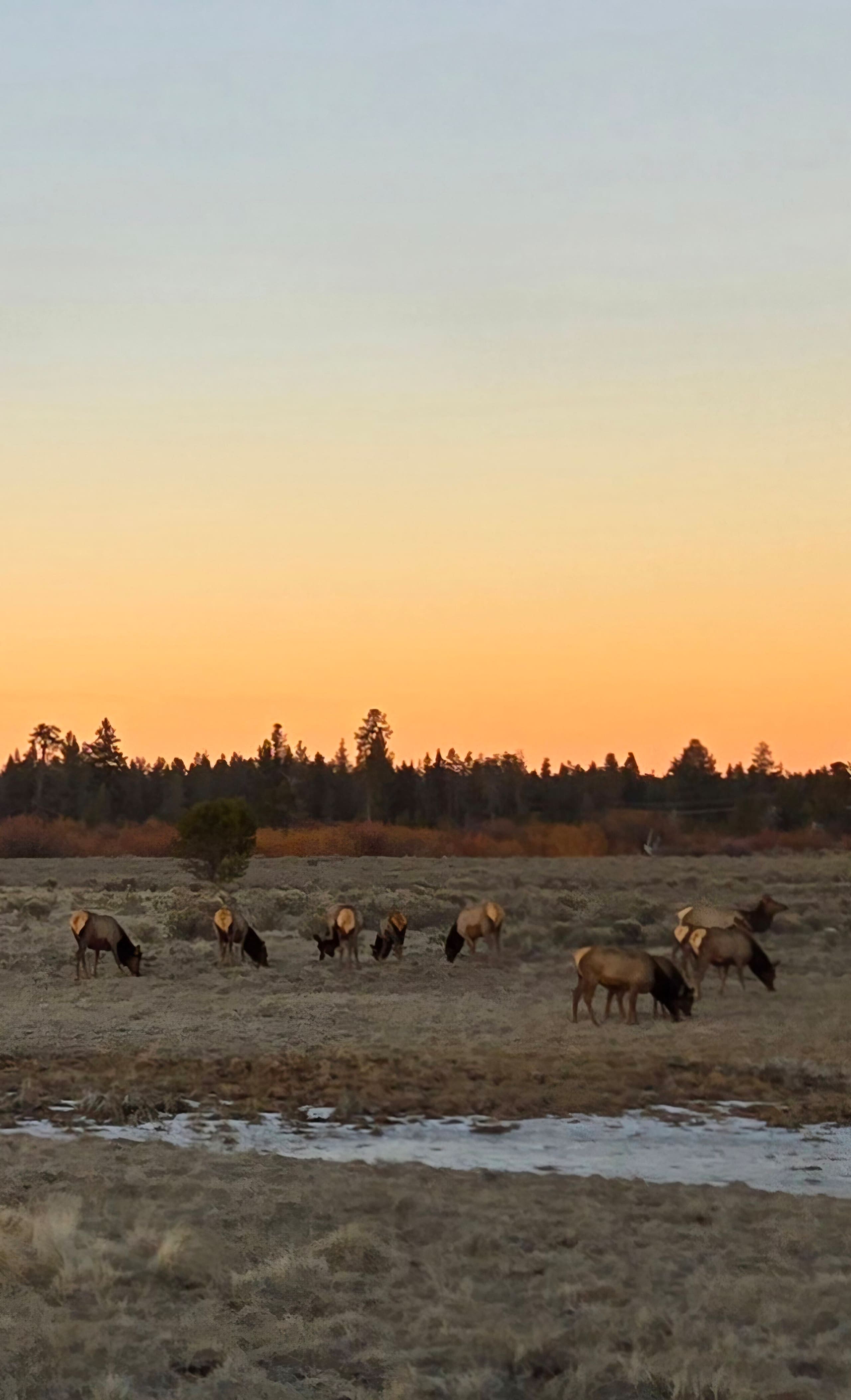 High Desert Haven! Very Close to Sunriver 23