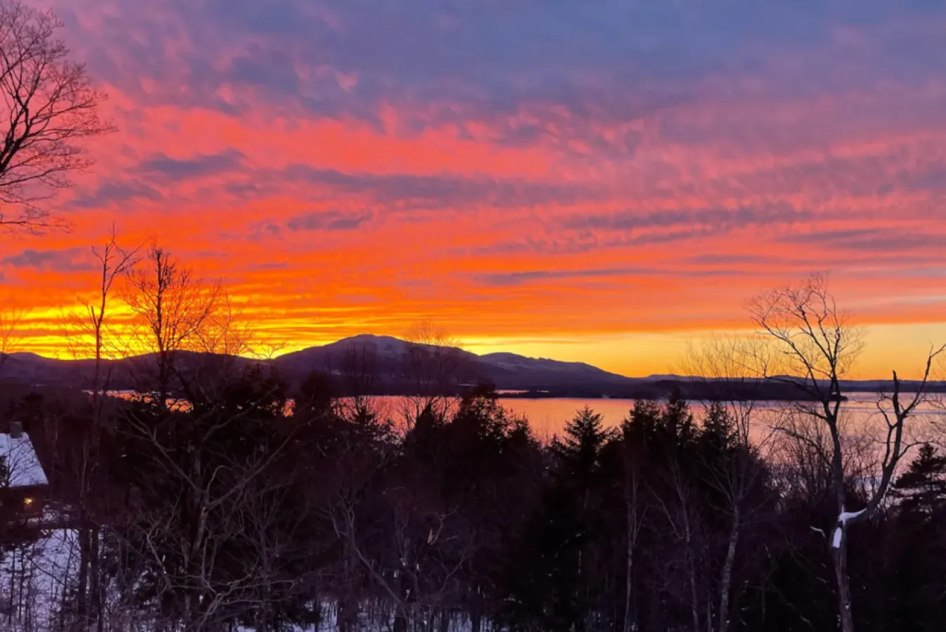 Mason's Mountain View 20