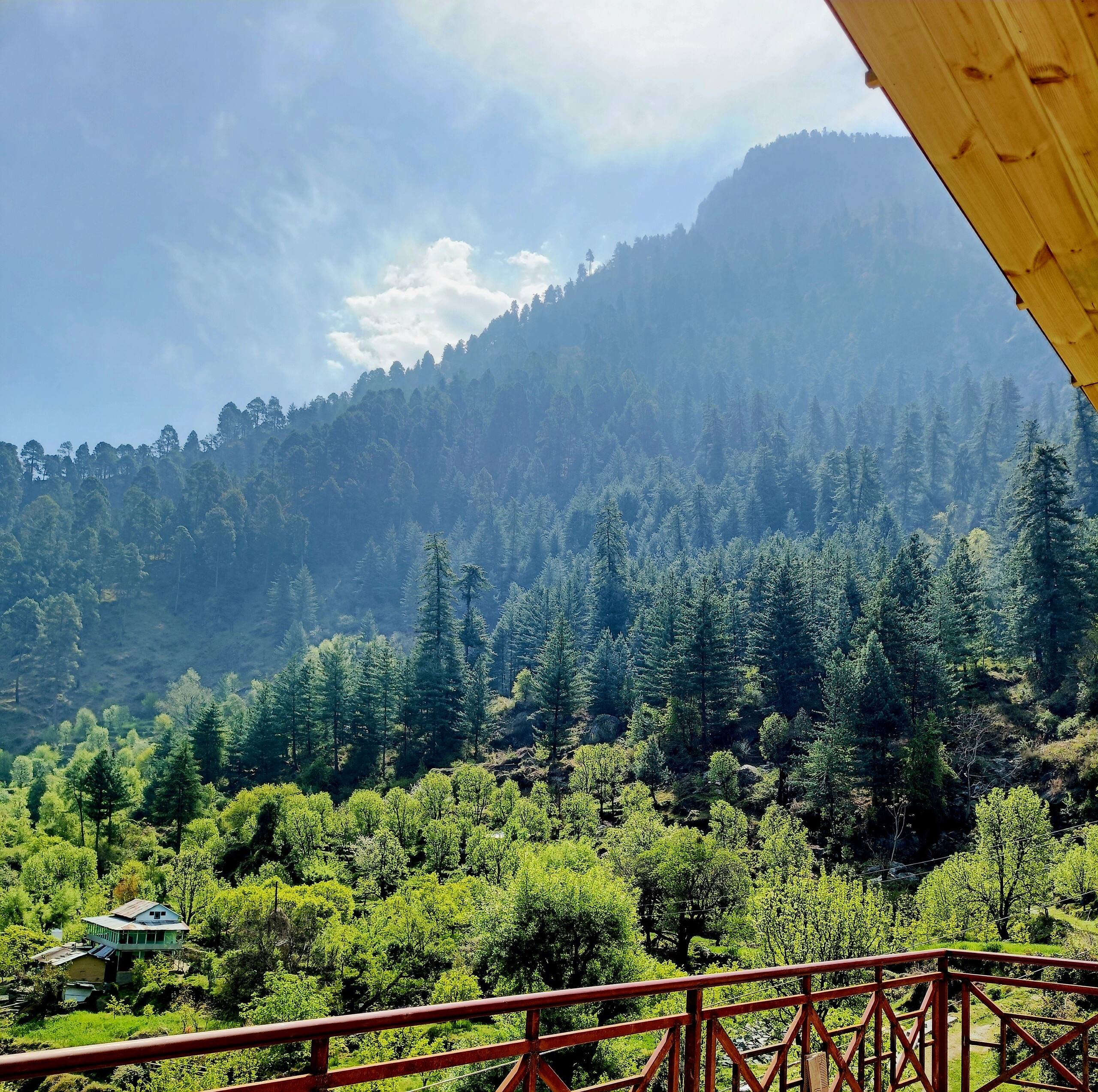 Stardust Cottage, Tirthan Valley - TrekNgo 17