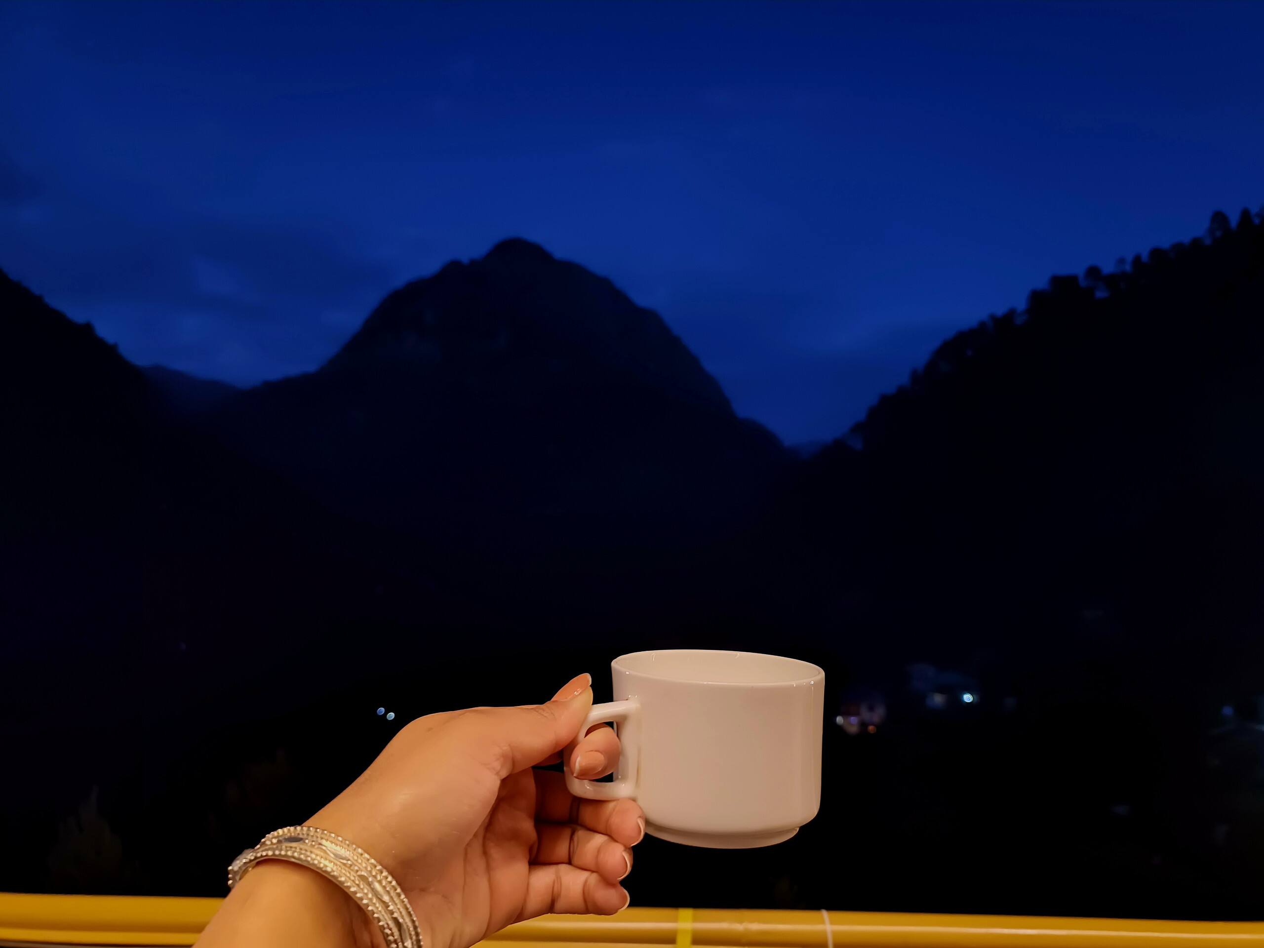 Stardust Cottage, Tirthan Valley - TrekNgo 29