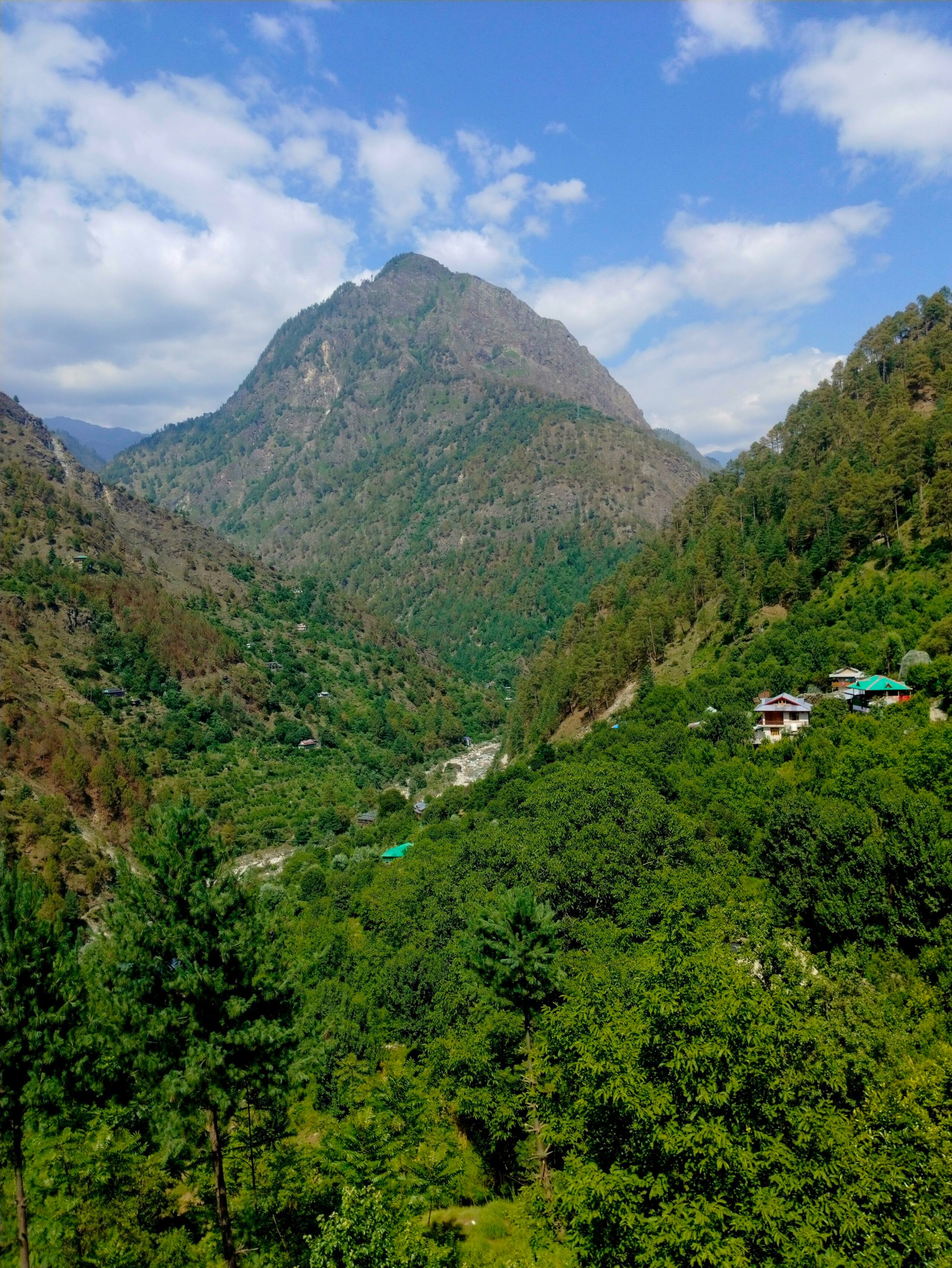 Stardust Cottage, Tirthan Valley - TrekNgo 27