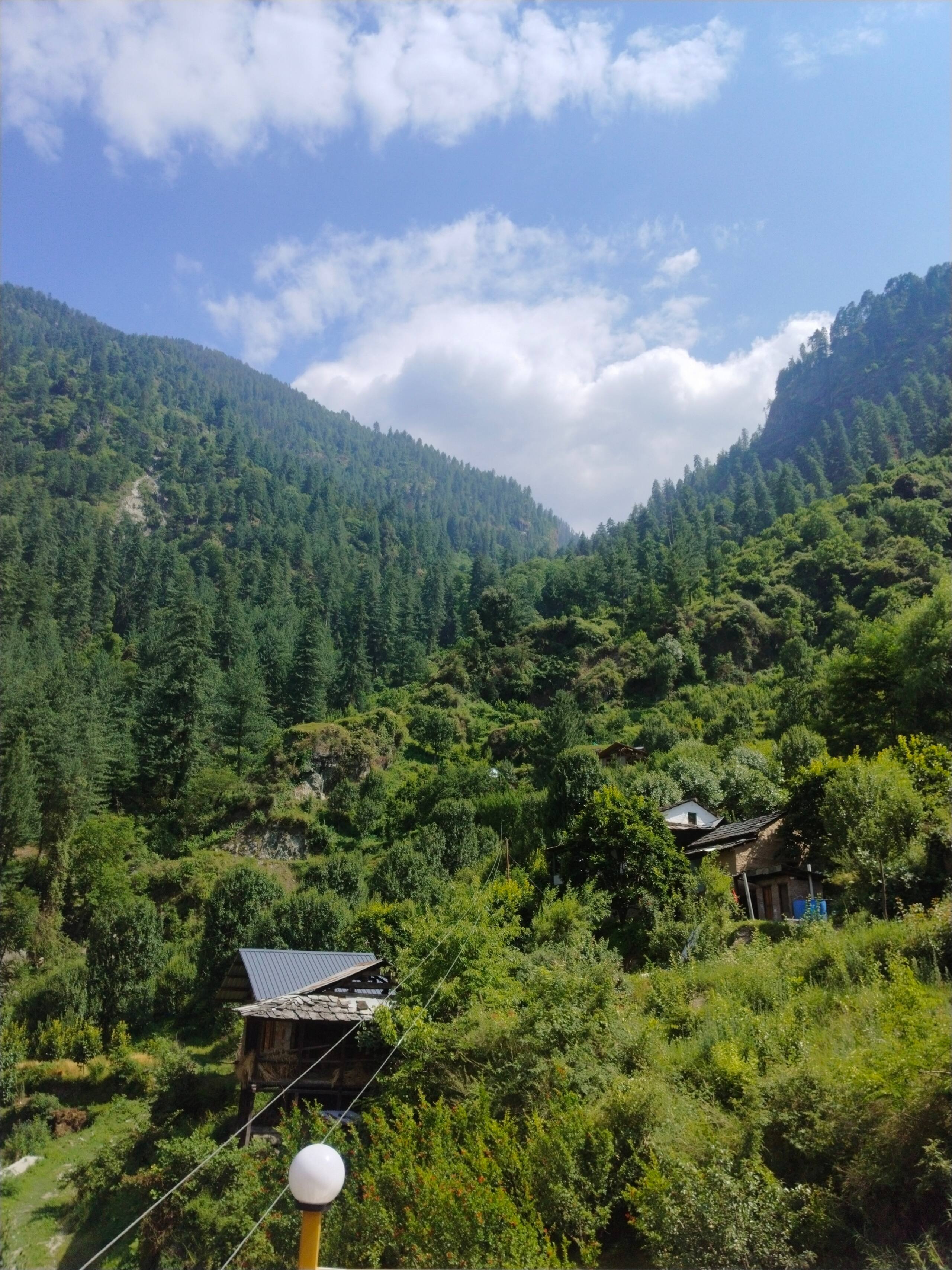 Stardust Cottage, Tirthan Valley - TrekNgo 28