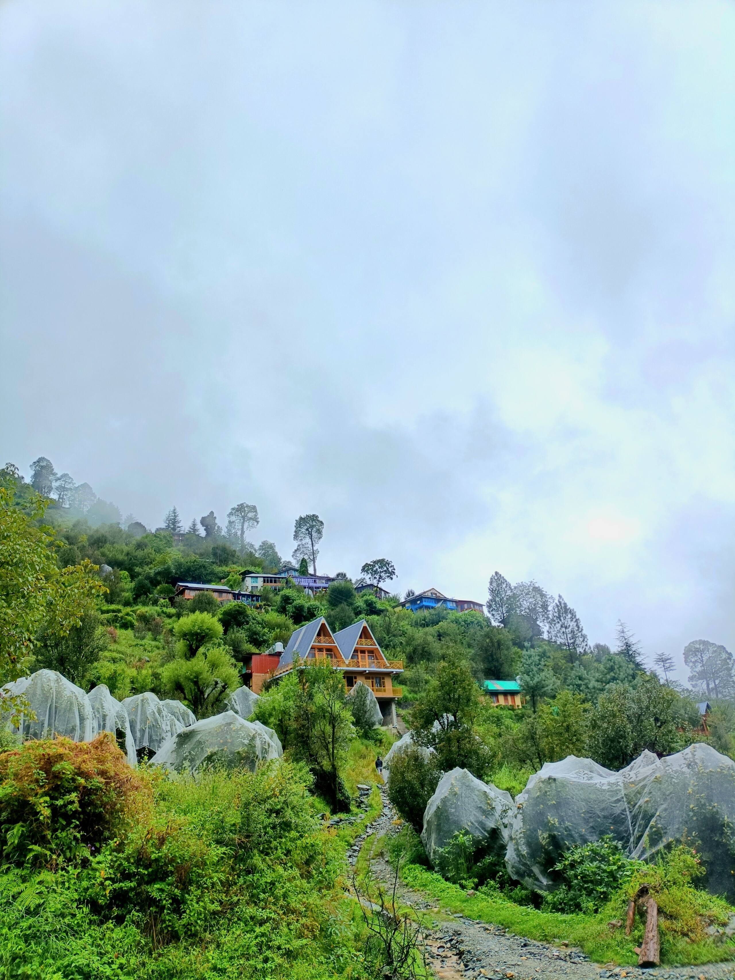 Stardust Cottage, Tirthan Valley - TrekNgo 7