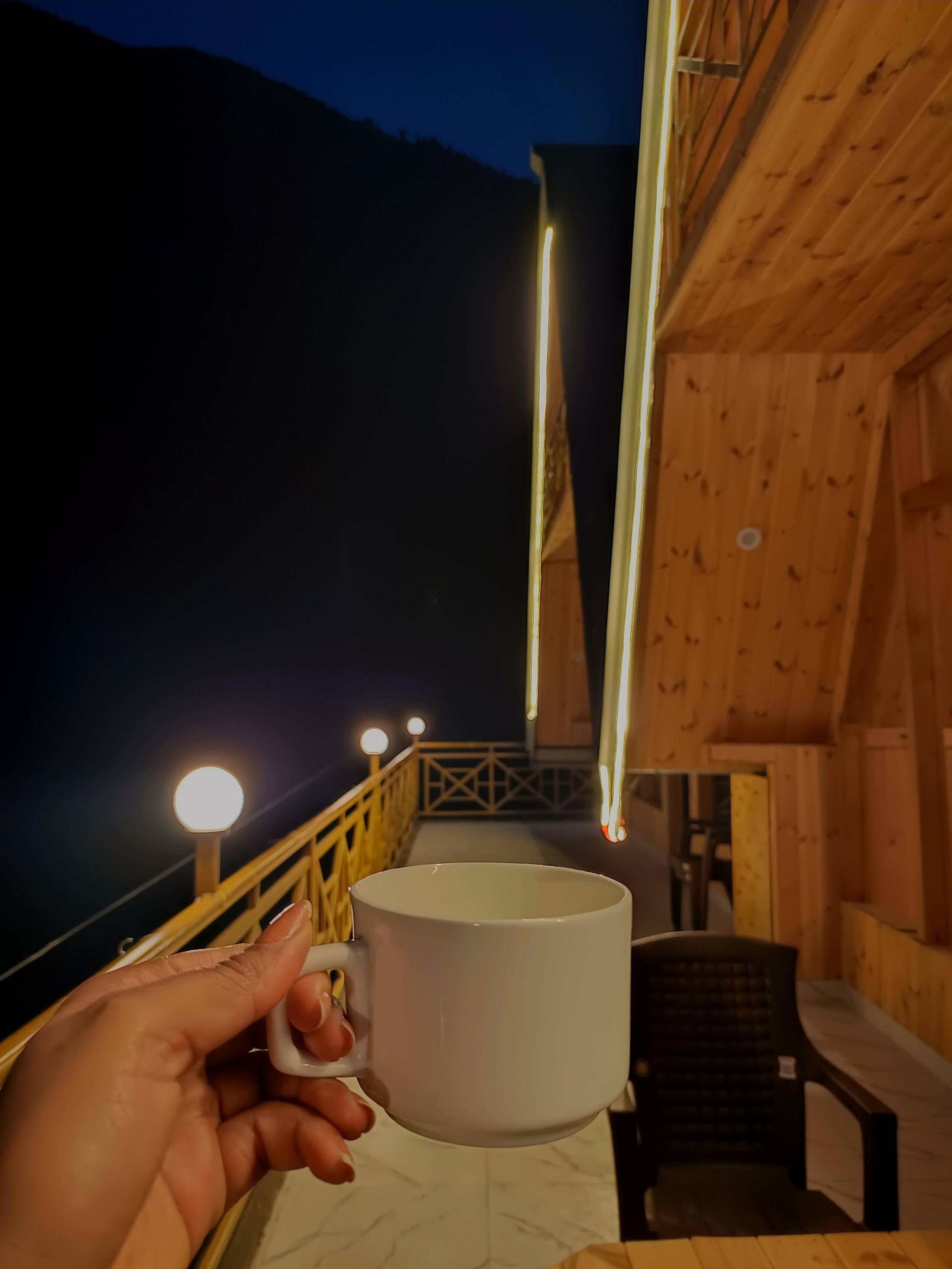 Stardust Cottage, Tirthan Valley - TrekNgo 18