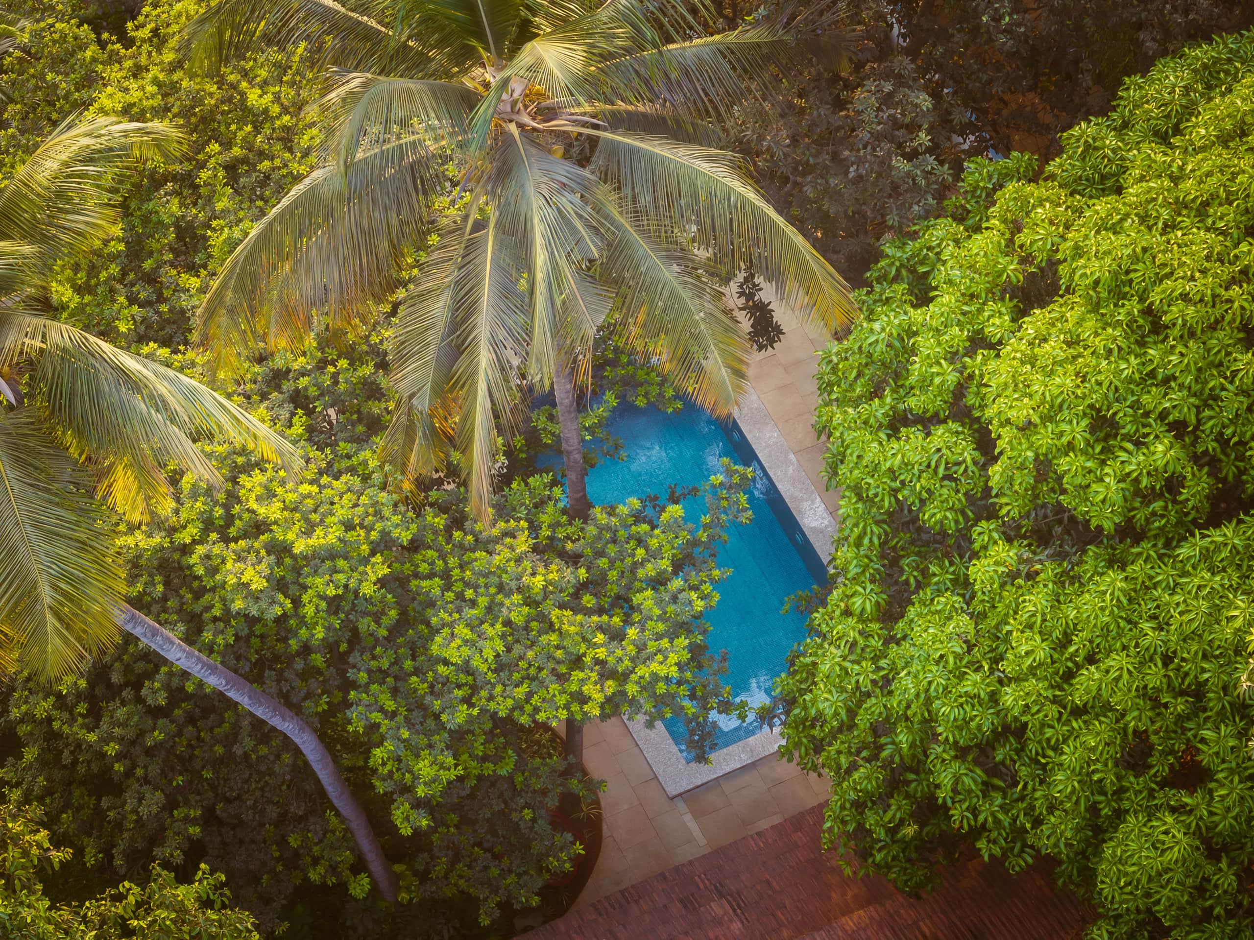 Villa Esperanza 700mt From Candolim Beach 8