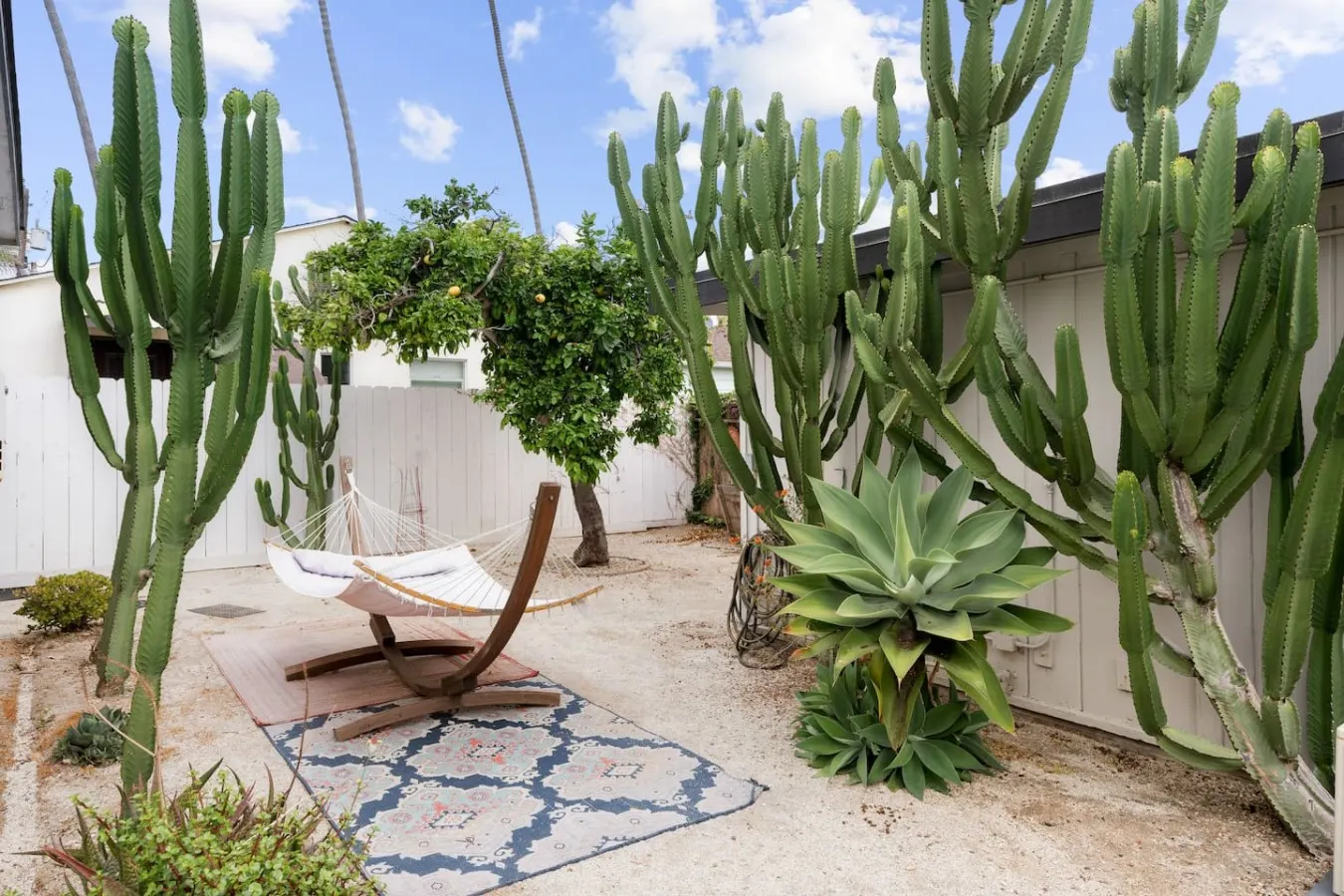 La Casa del Pomelo - Sunset Cliffs — photo 4