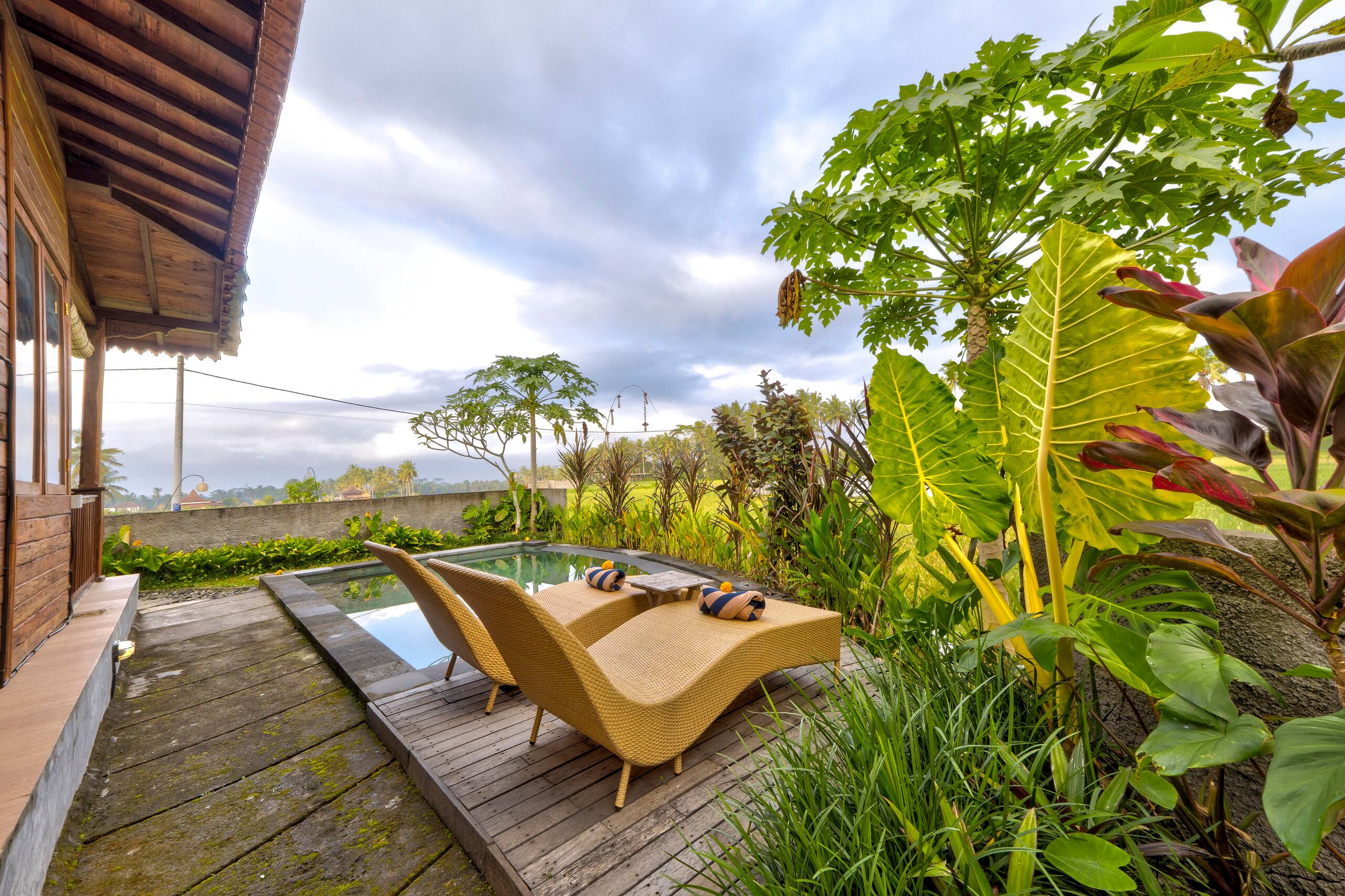 Private pool villa with rice field view near Ubud 23