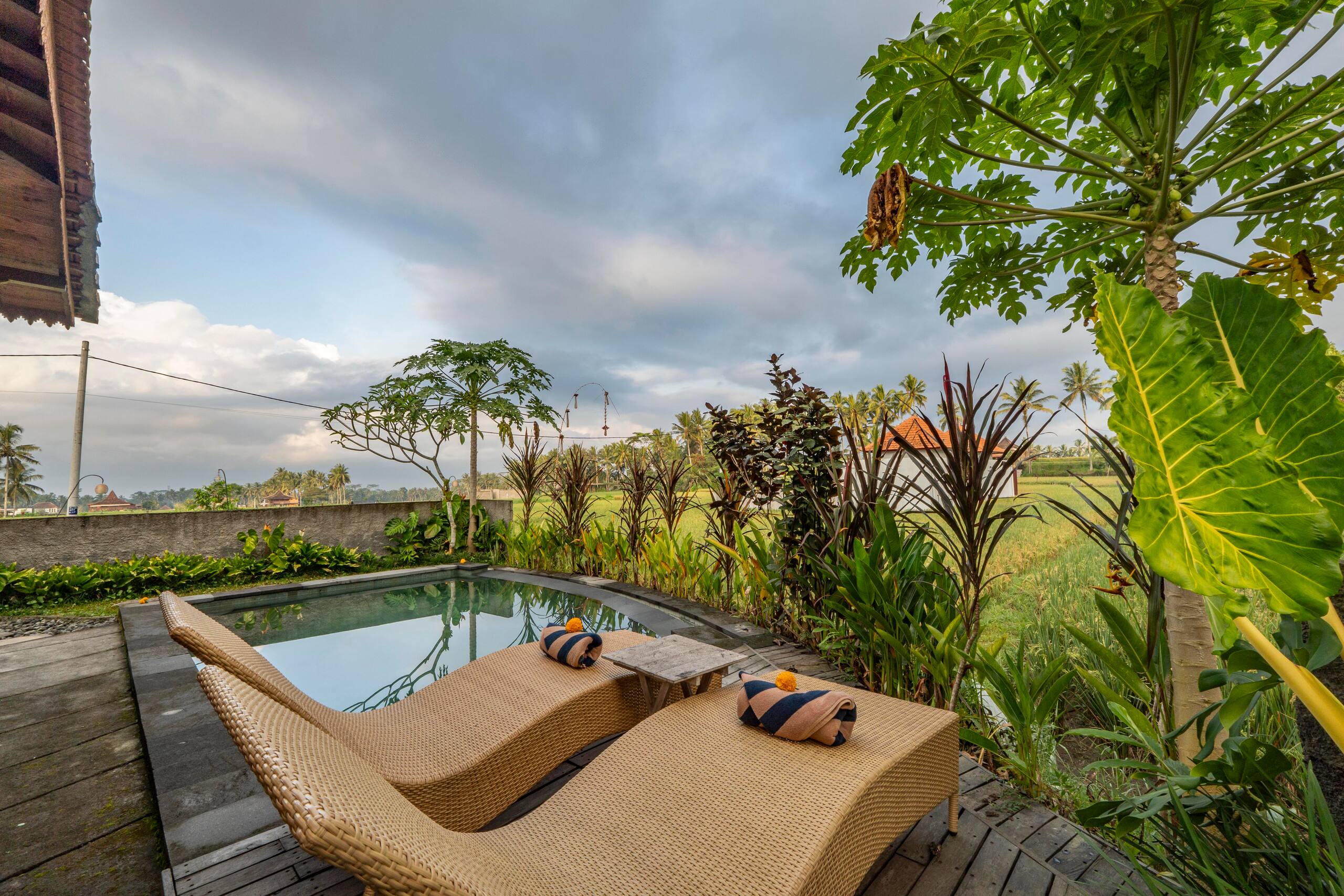 Private pool villa with rice field view near Ubud 24