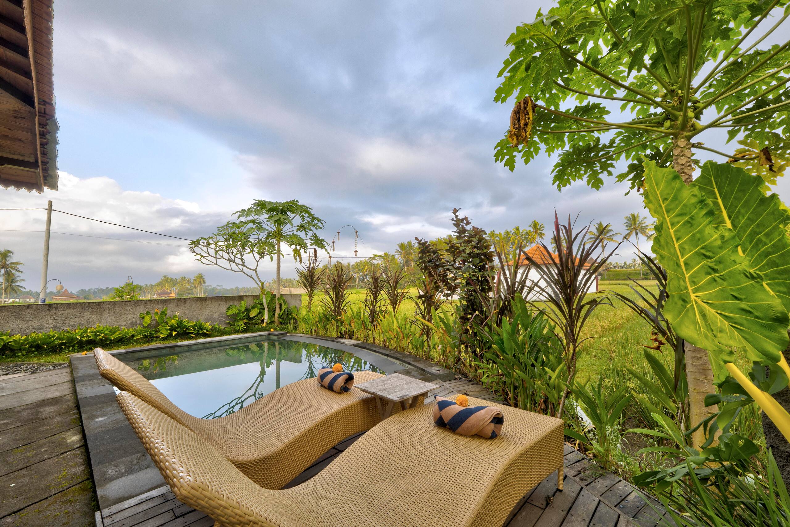 Private pool villa with rice field view near Ubud 22