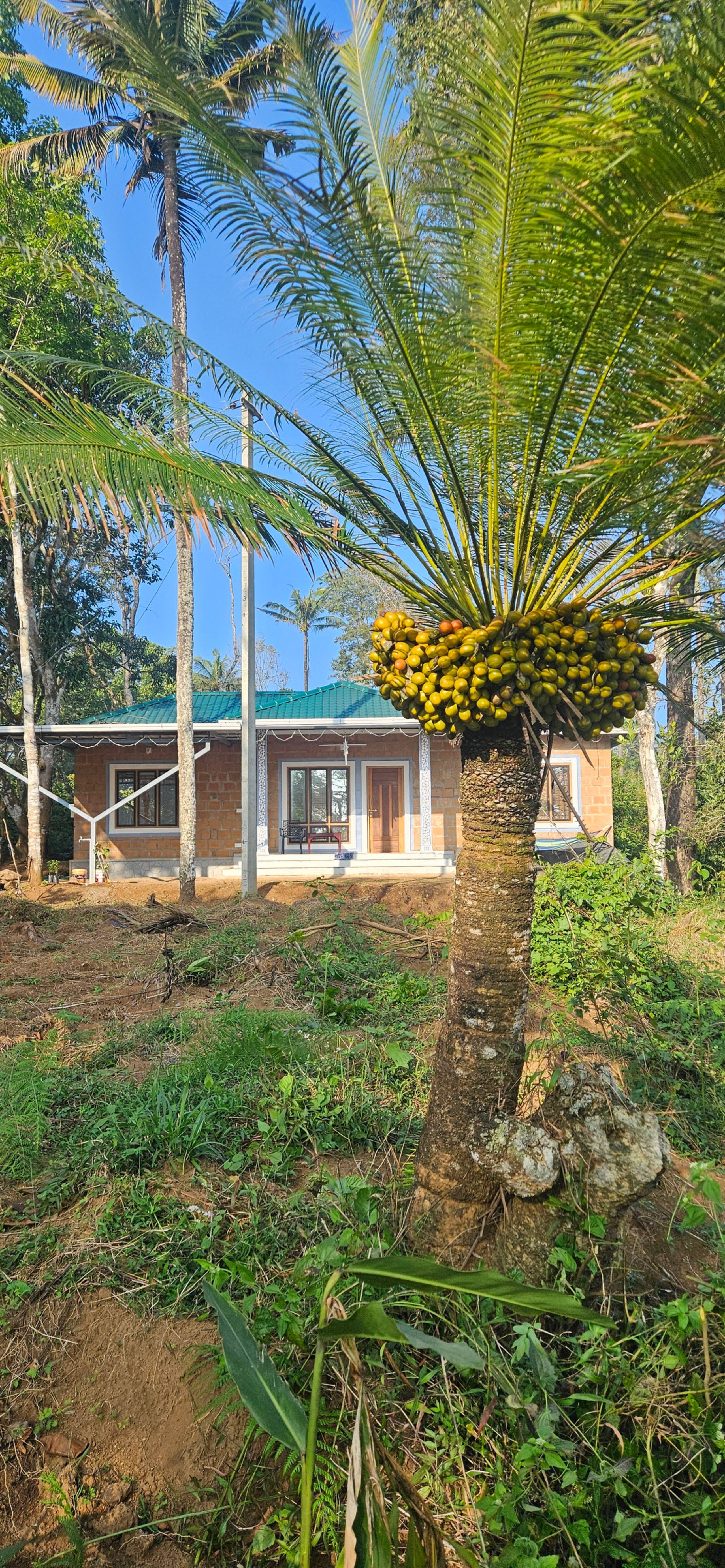 Haizel farm stay where culture meets &nature heals 1