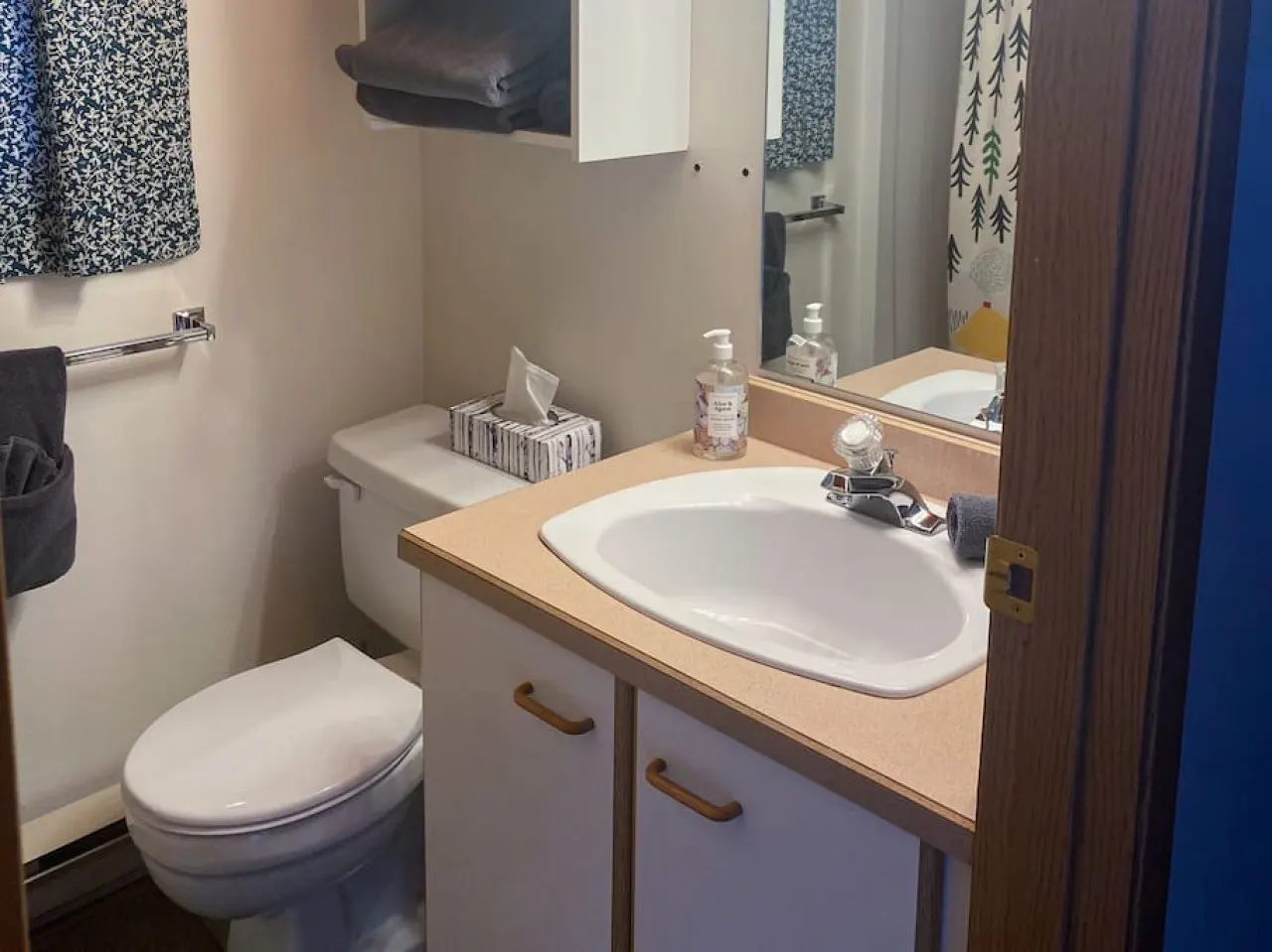 Apex Mountain ~ The Snuggle Inn - BC Reg#PM901892022 5