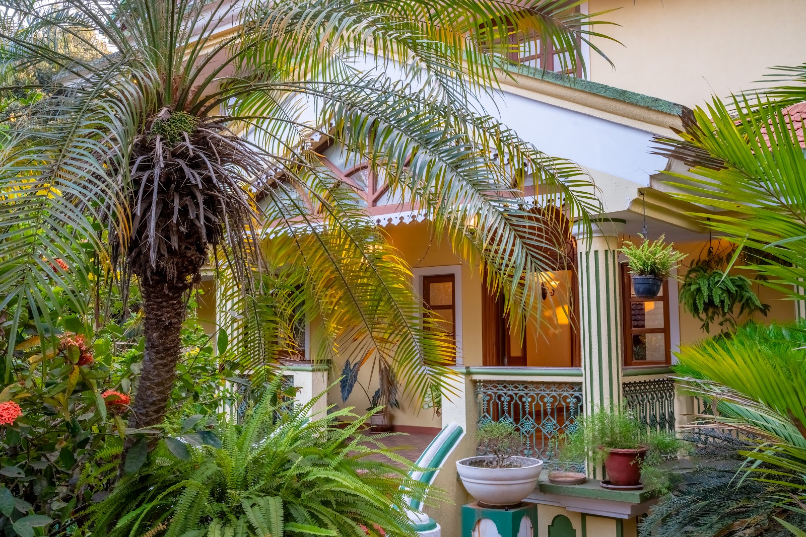 Private Cottage in a Palm Grove Peaceful Retreat 1