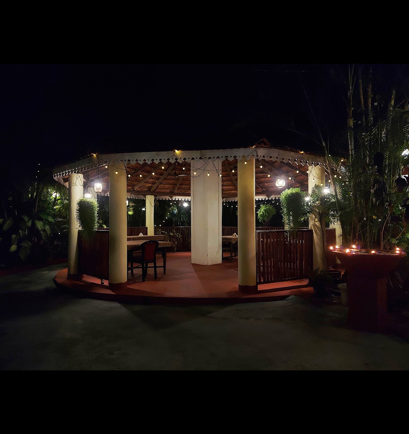 Private Cottage in a Palm Grove Peaceful Retreat 9