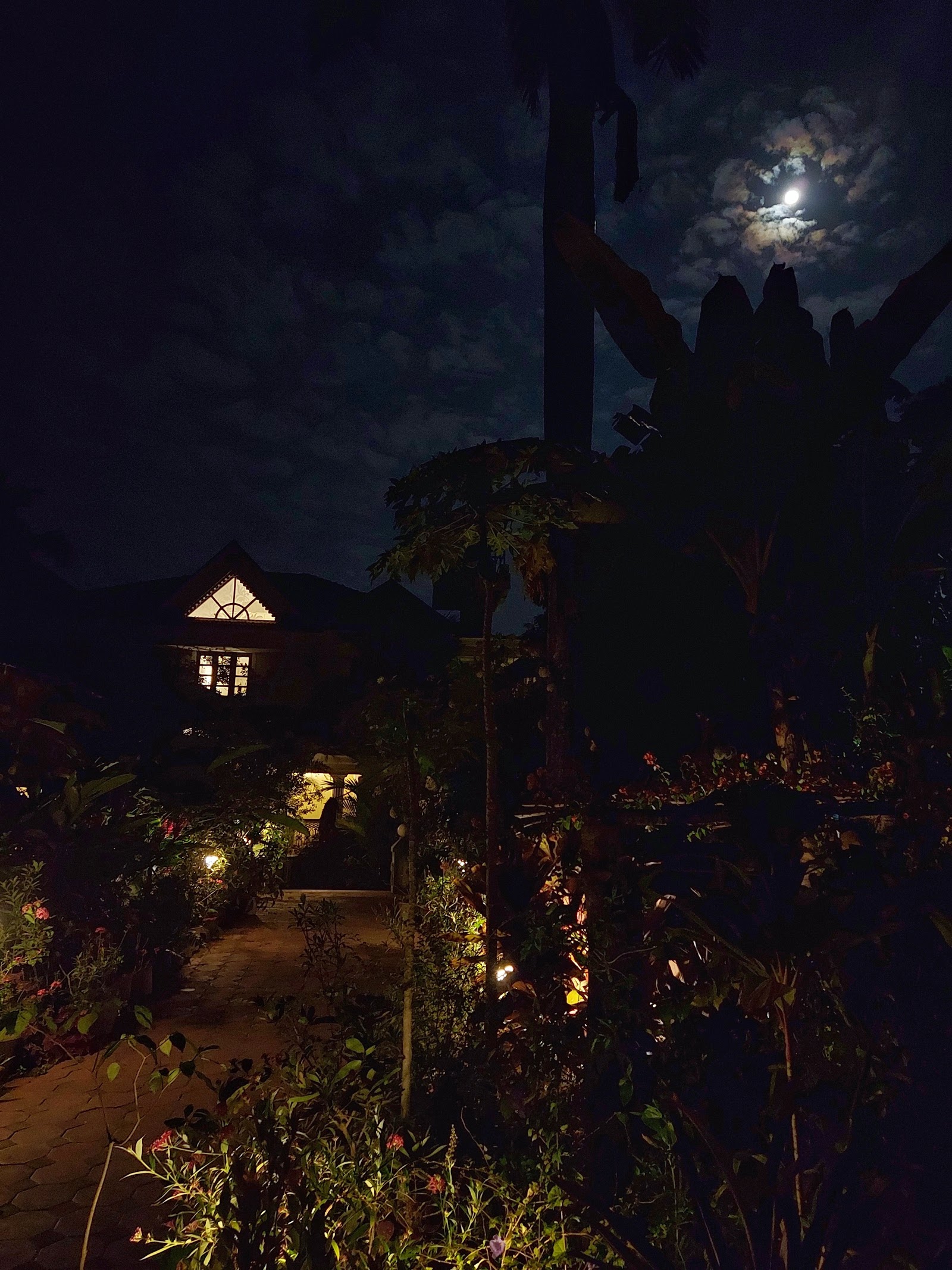 Private Cottage in a Palm Grove Peaceful Retreat 10