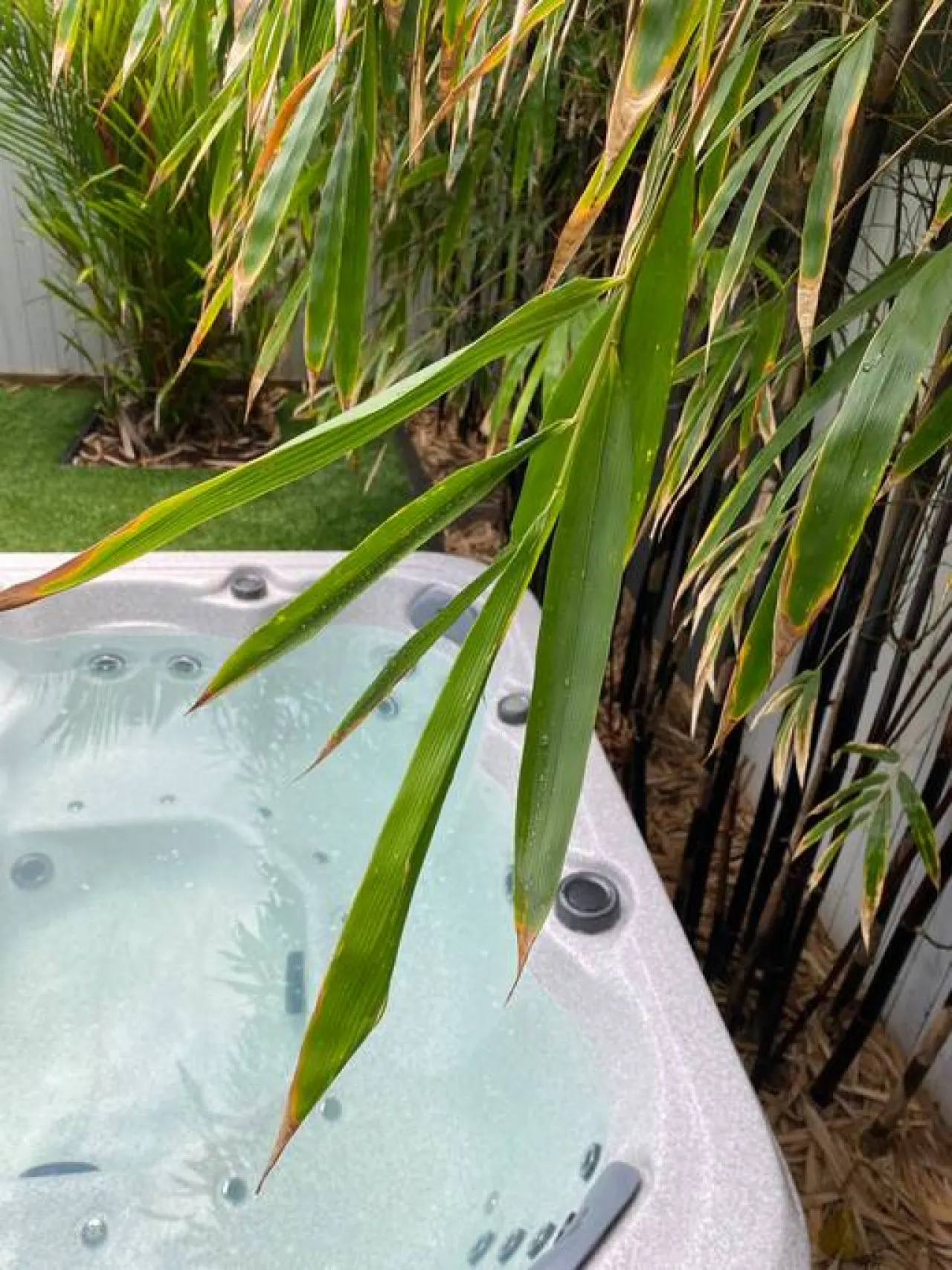 Botanical Gardens Spa Villa - Edge Hill sleeps 9 19
