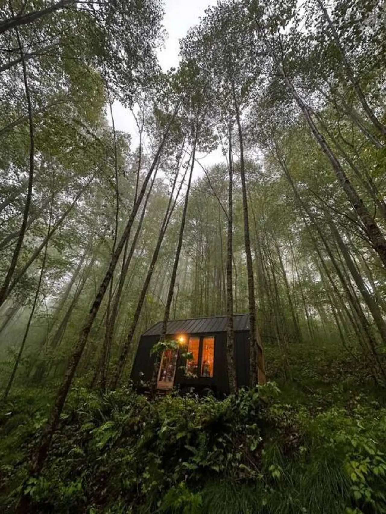 The Twig Outdoor Shower, Deck & Cozy Chimney 20
