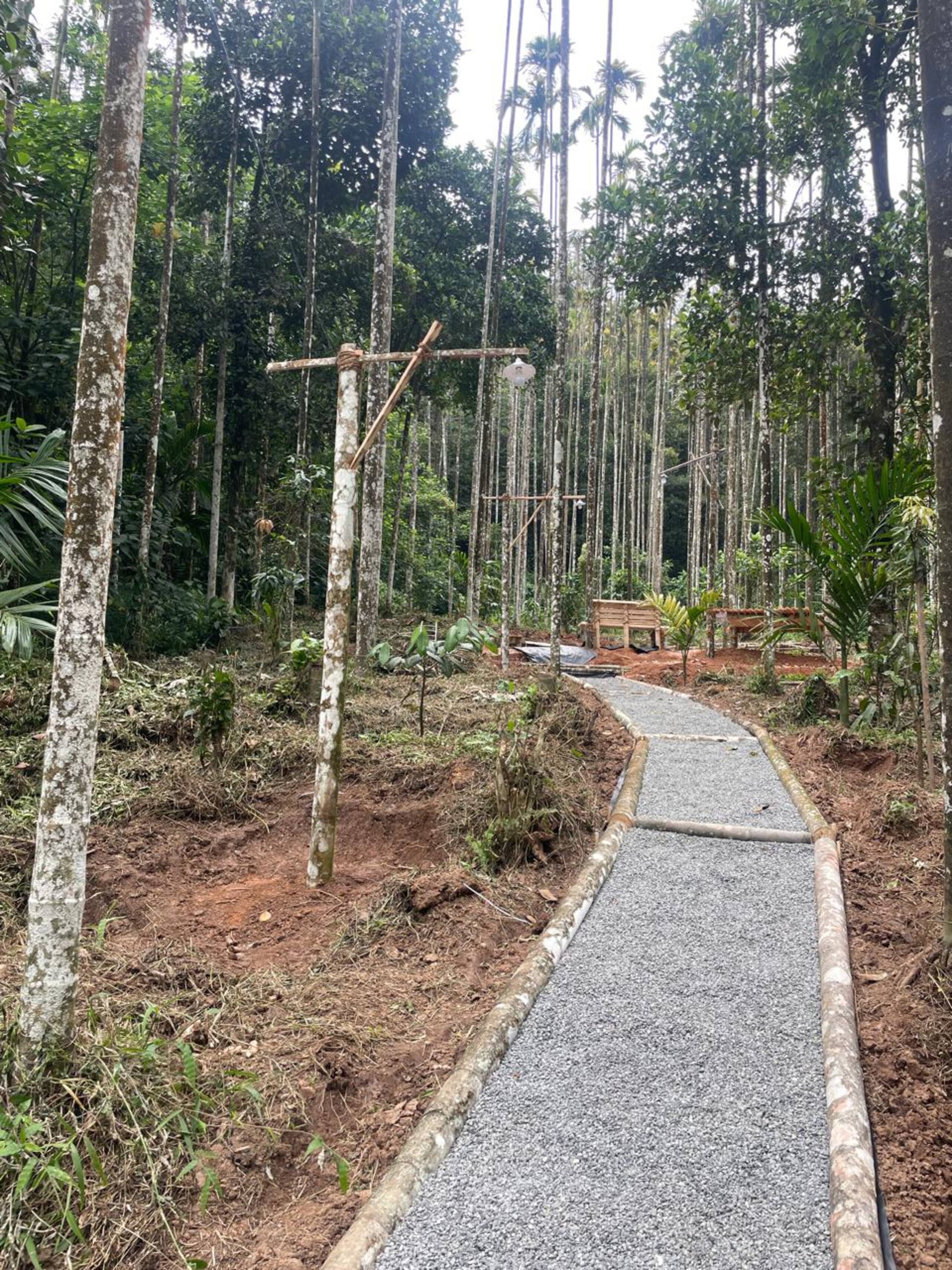 Areca Valley-3 Bedroom,10 Beds Farmstay@Attappadi 29