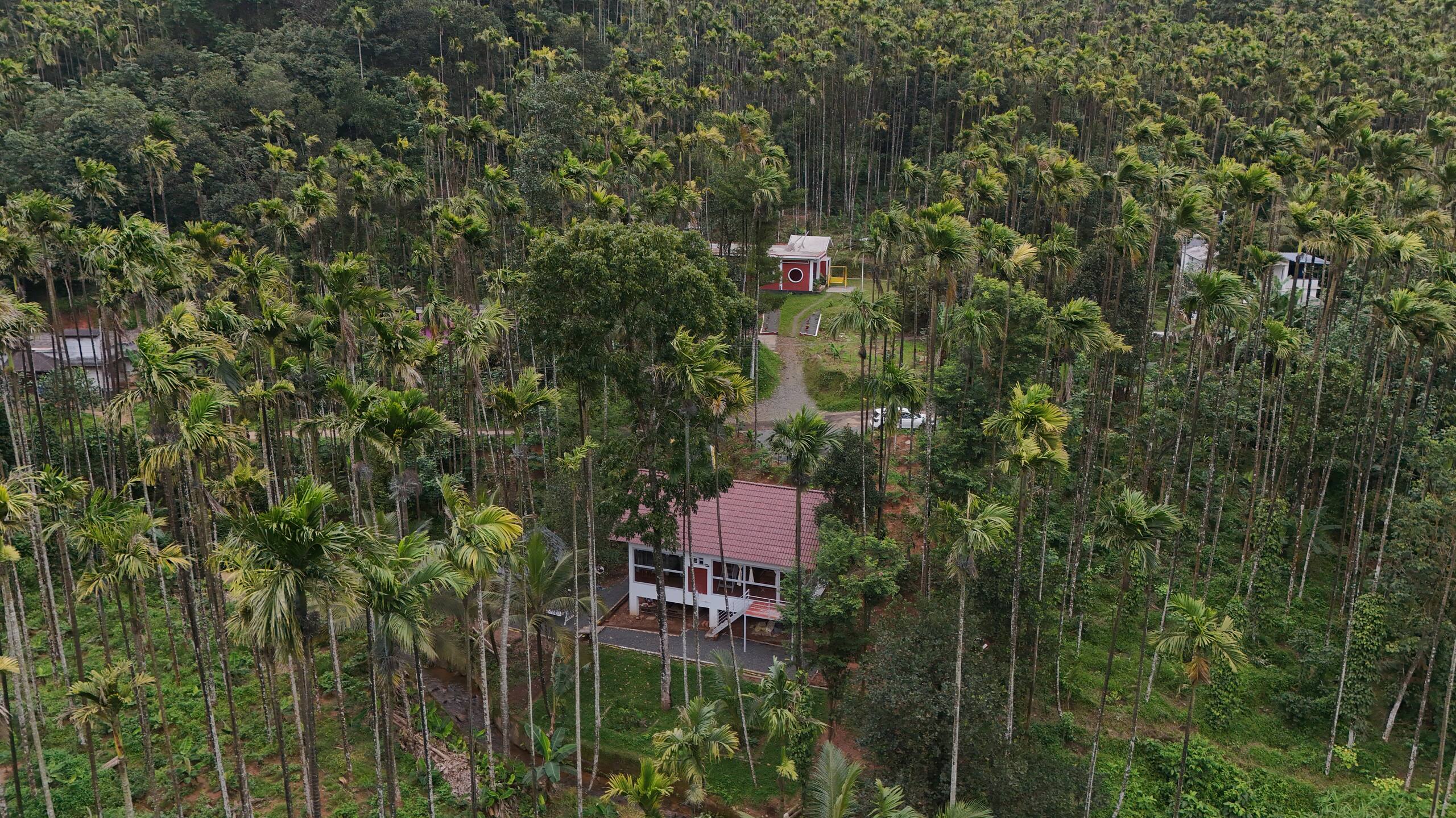 Areca Valley-3 Bedroom,10 Beds Farmstay@Attappadi 21