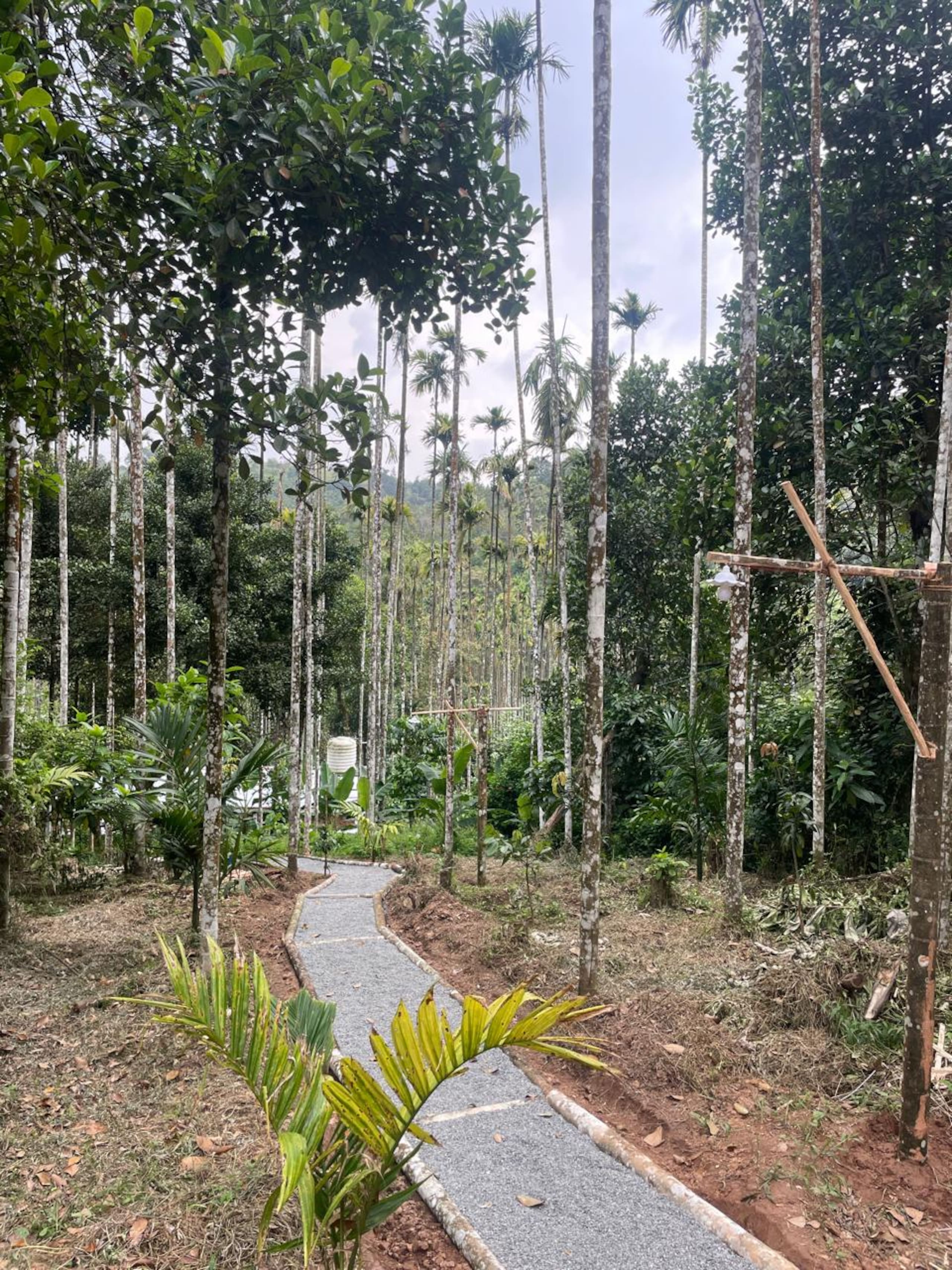 Areca Valley-3 Bedroom,10 Beds Farmstay@Attappadi 28