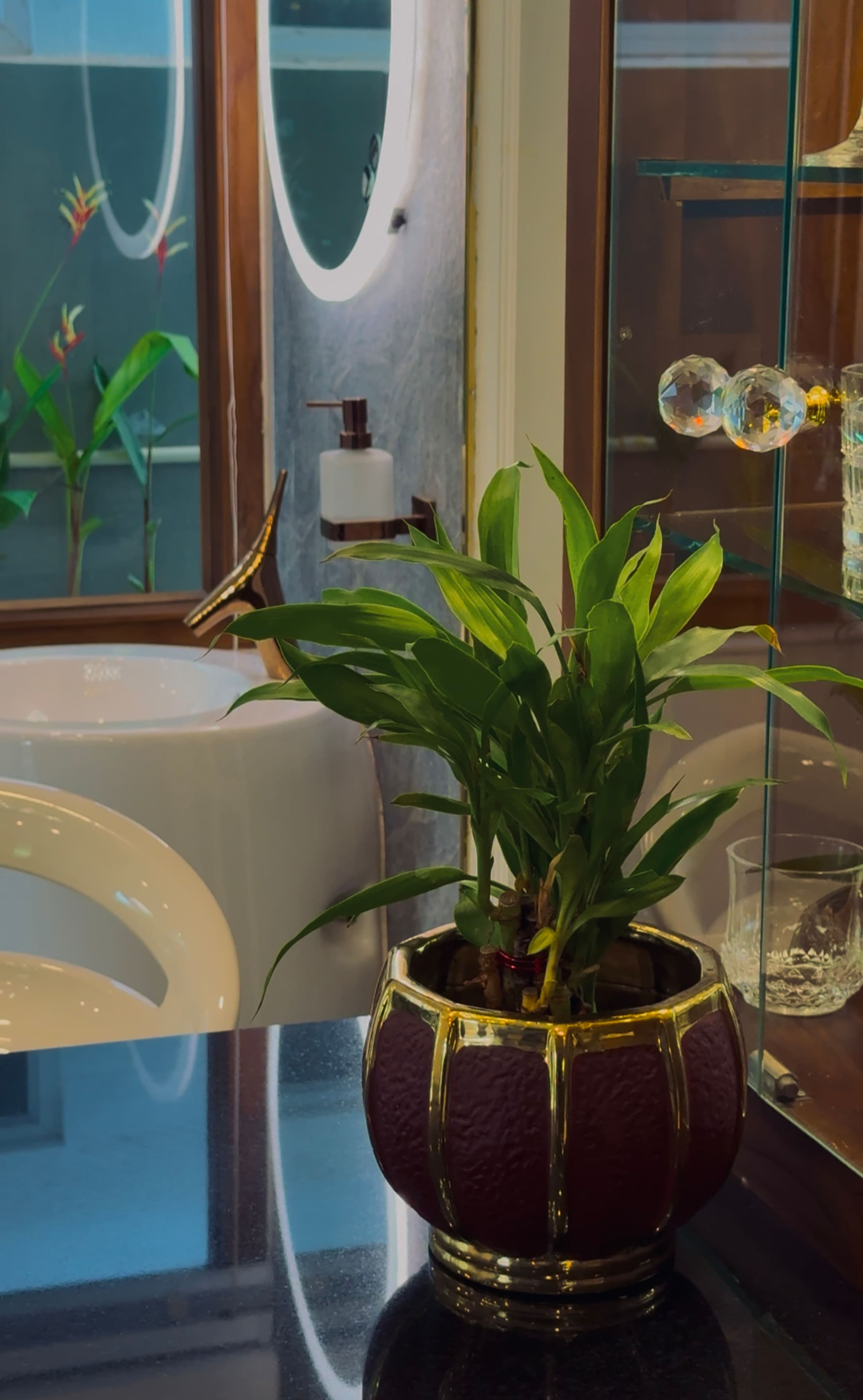 padma luxury resort at prime heart of trivandrum 17