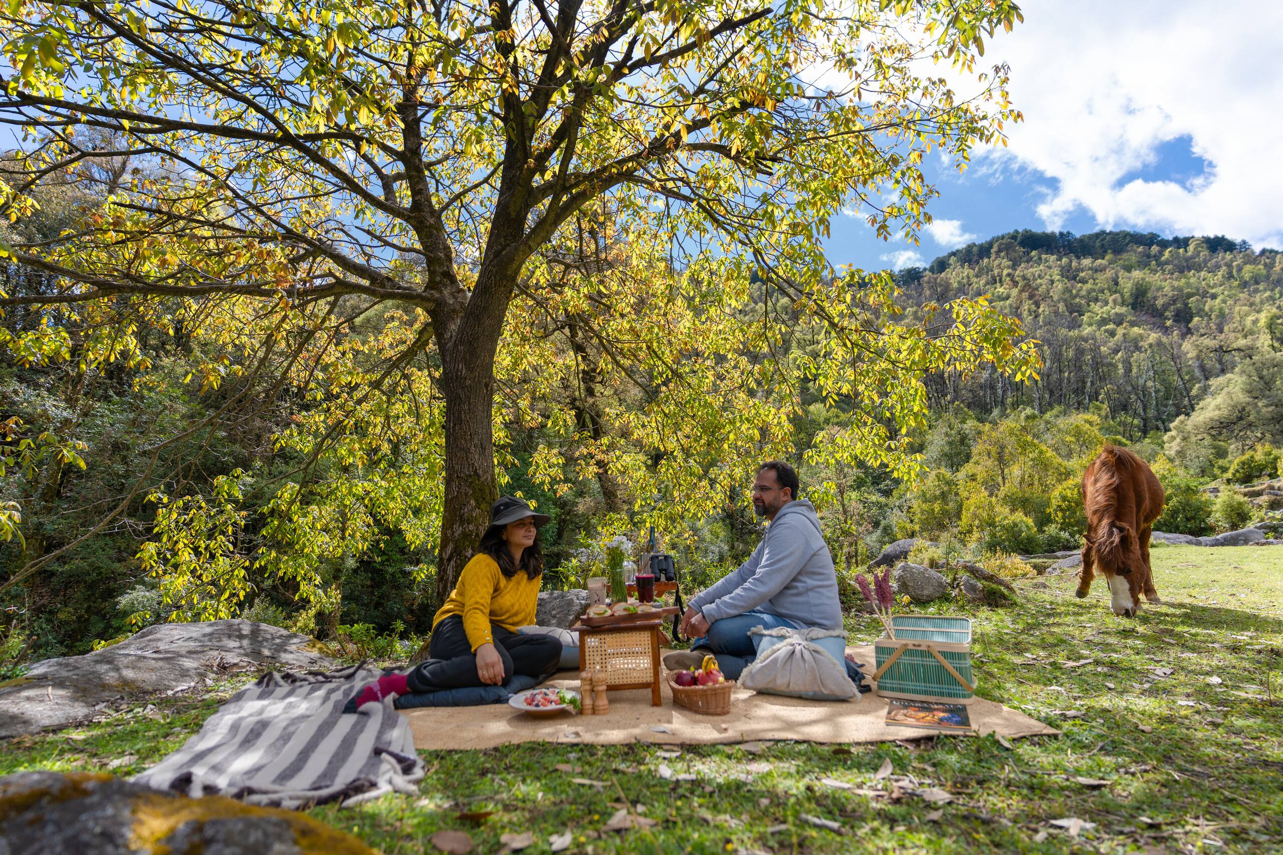 Saraaya | Entire 4 Luxury Glamps in Dharamshala 21