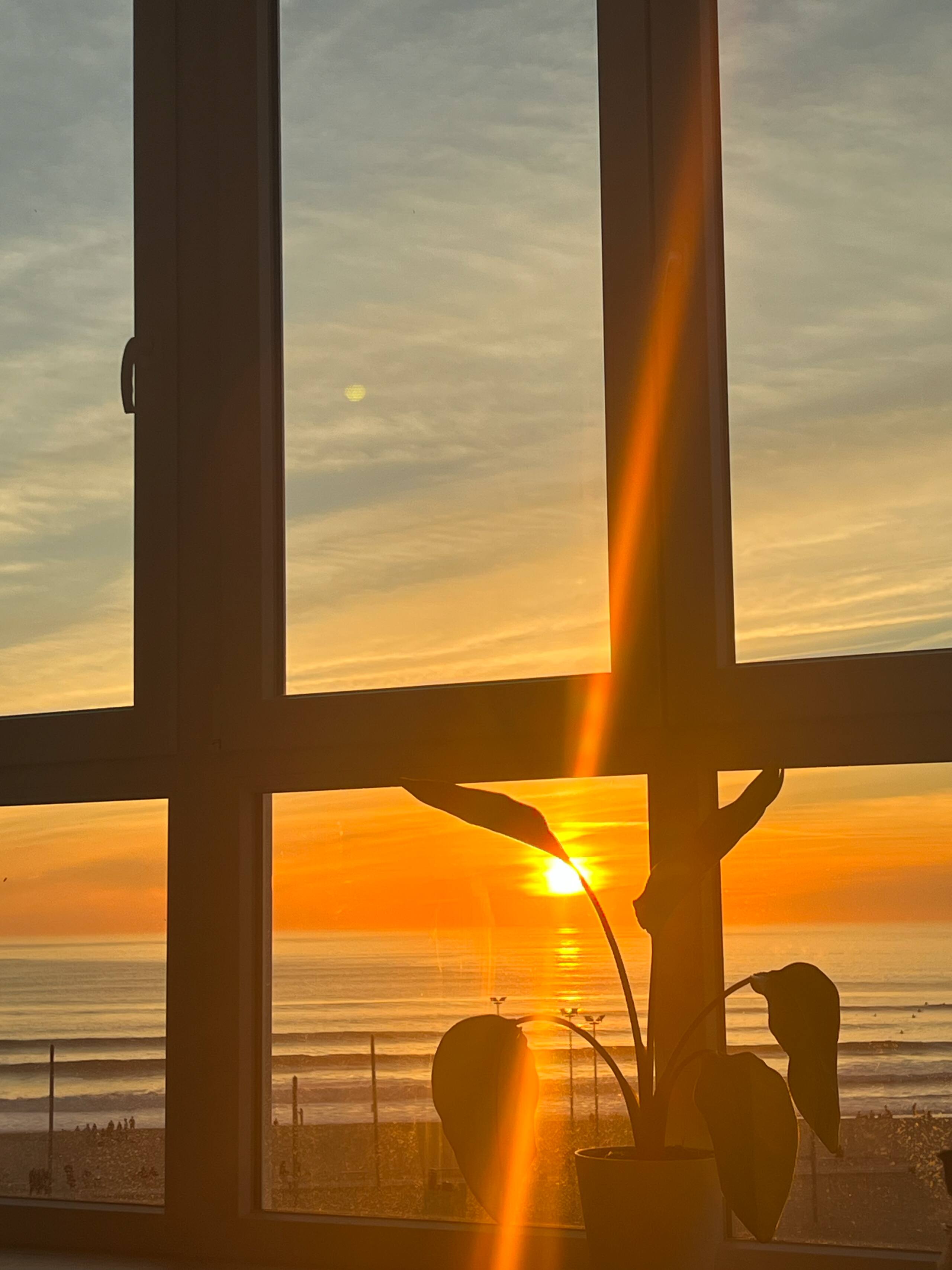 Cozy oceanfront surf penthouse with epic rooftop 9