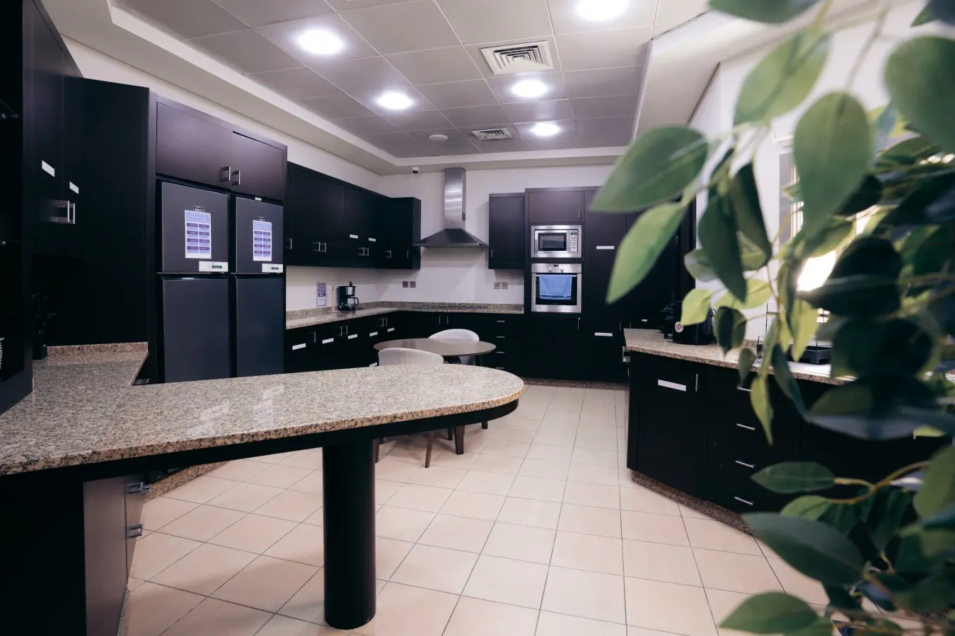 Serengeti Suite 17