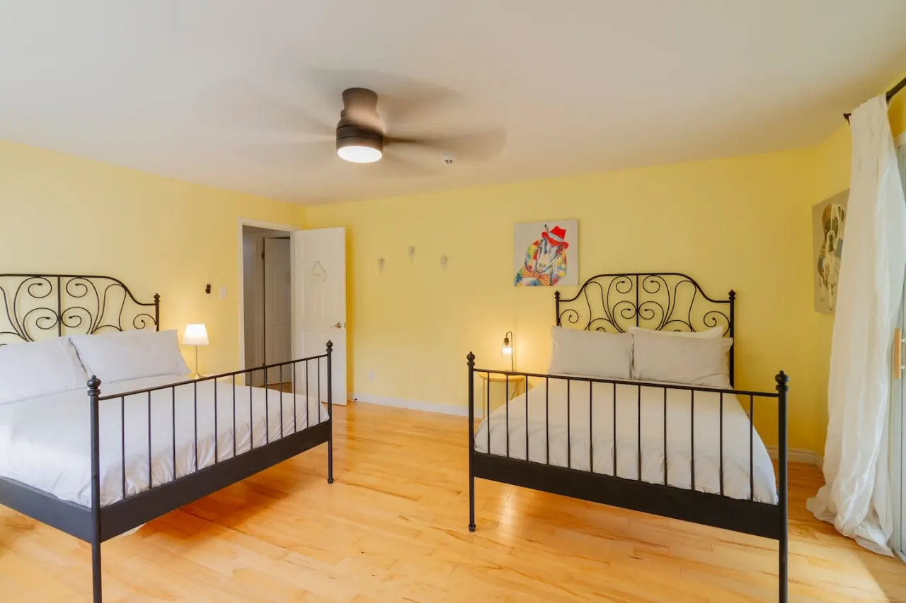 Rare 6 bedroom Gem in Picton 10