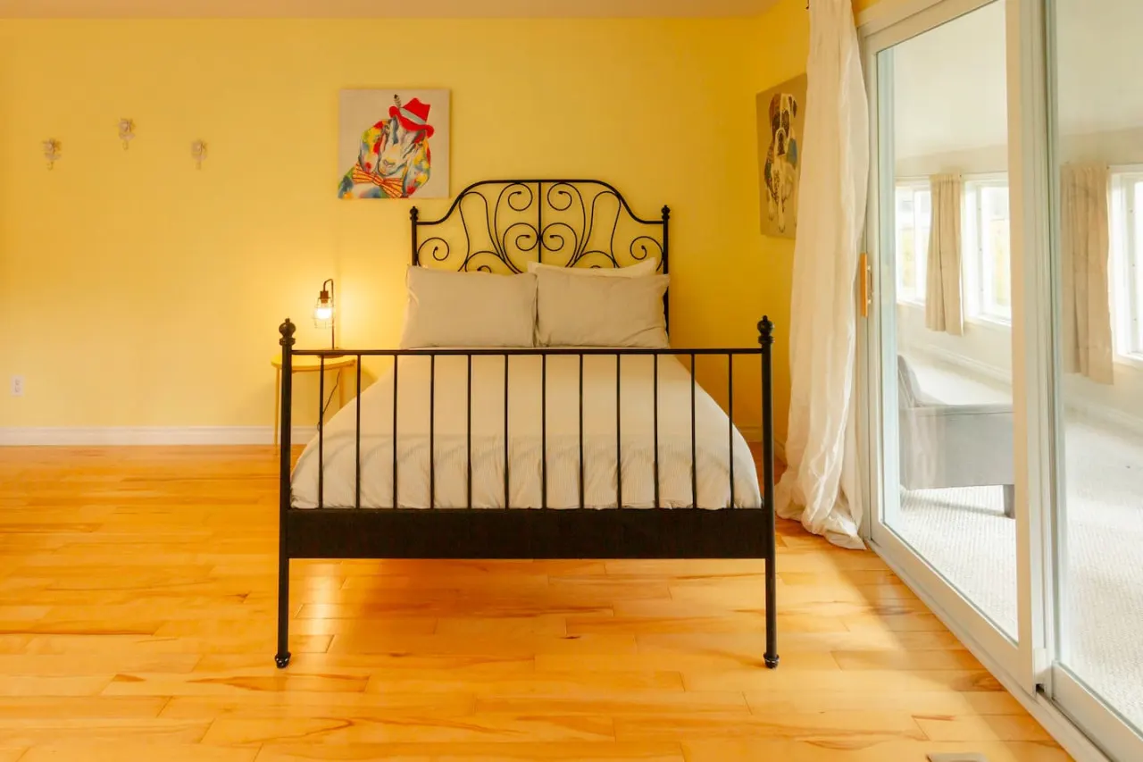Rare 6 bedroom Gem in Picton 11