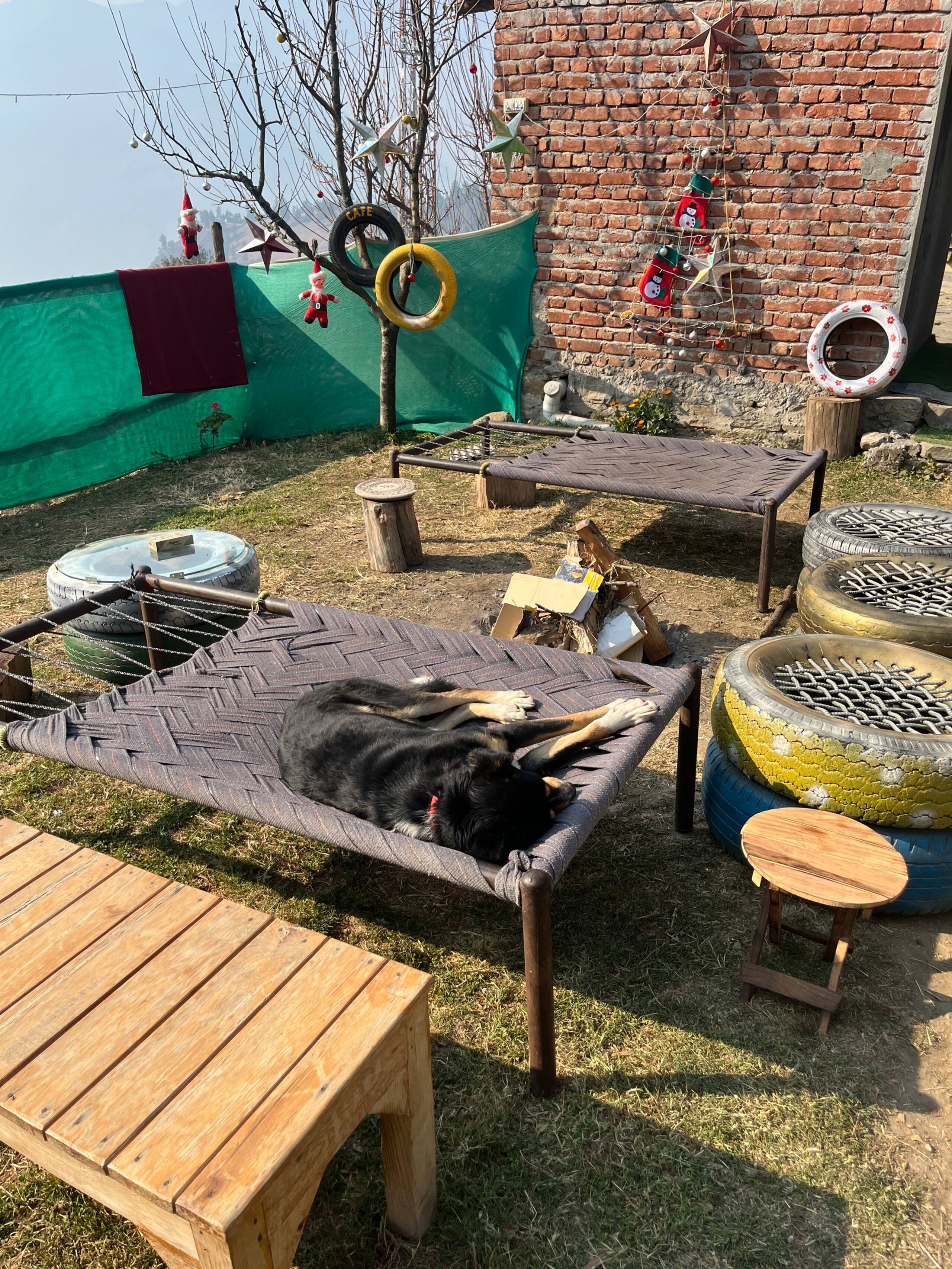 Travel in Time in Century Old Himalayan Home 23