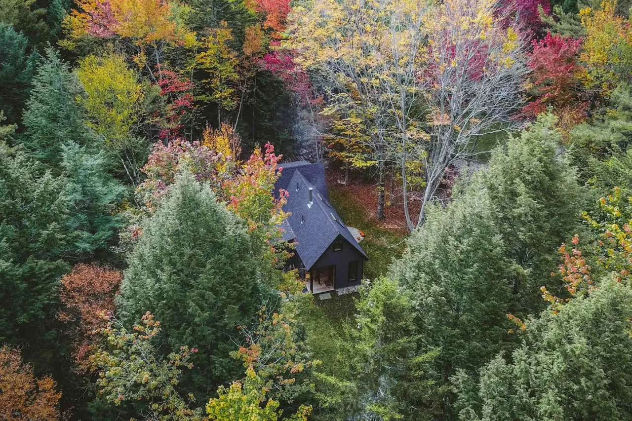 Peaceful Cabin With High End Amenities — photo 2
