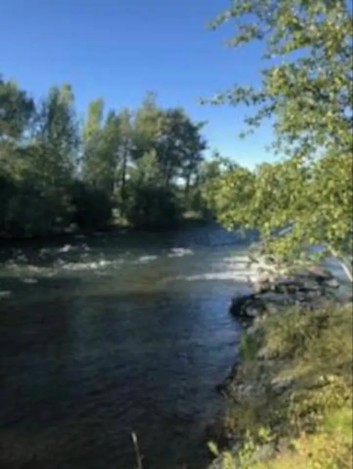 Cabin on Salmon River/ Sleeps 6 /2 Bed /2Bath 15