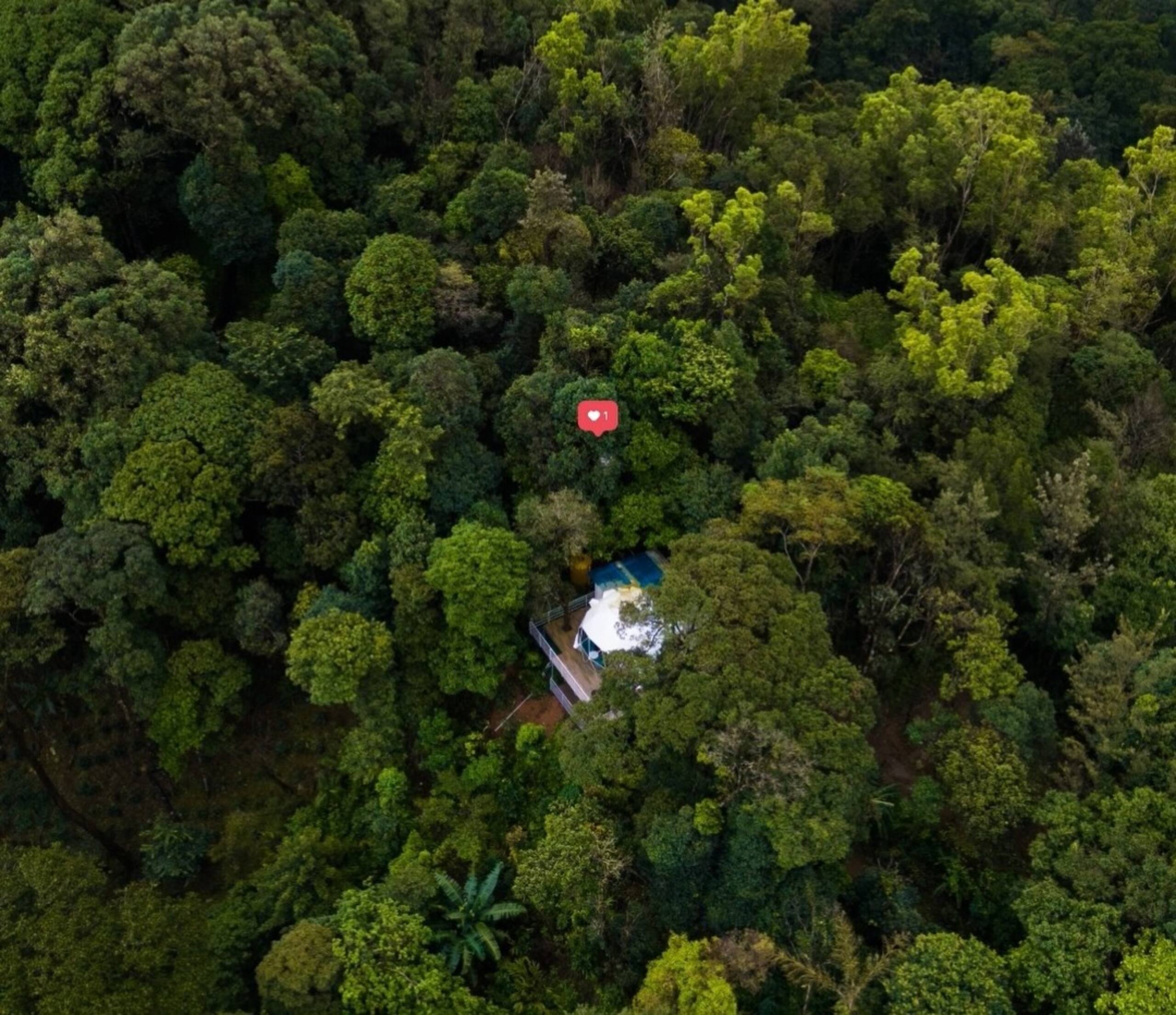 Luxury Tree GlampingDome Woodpecker coffee estate 32