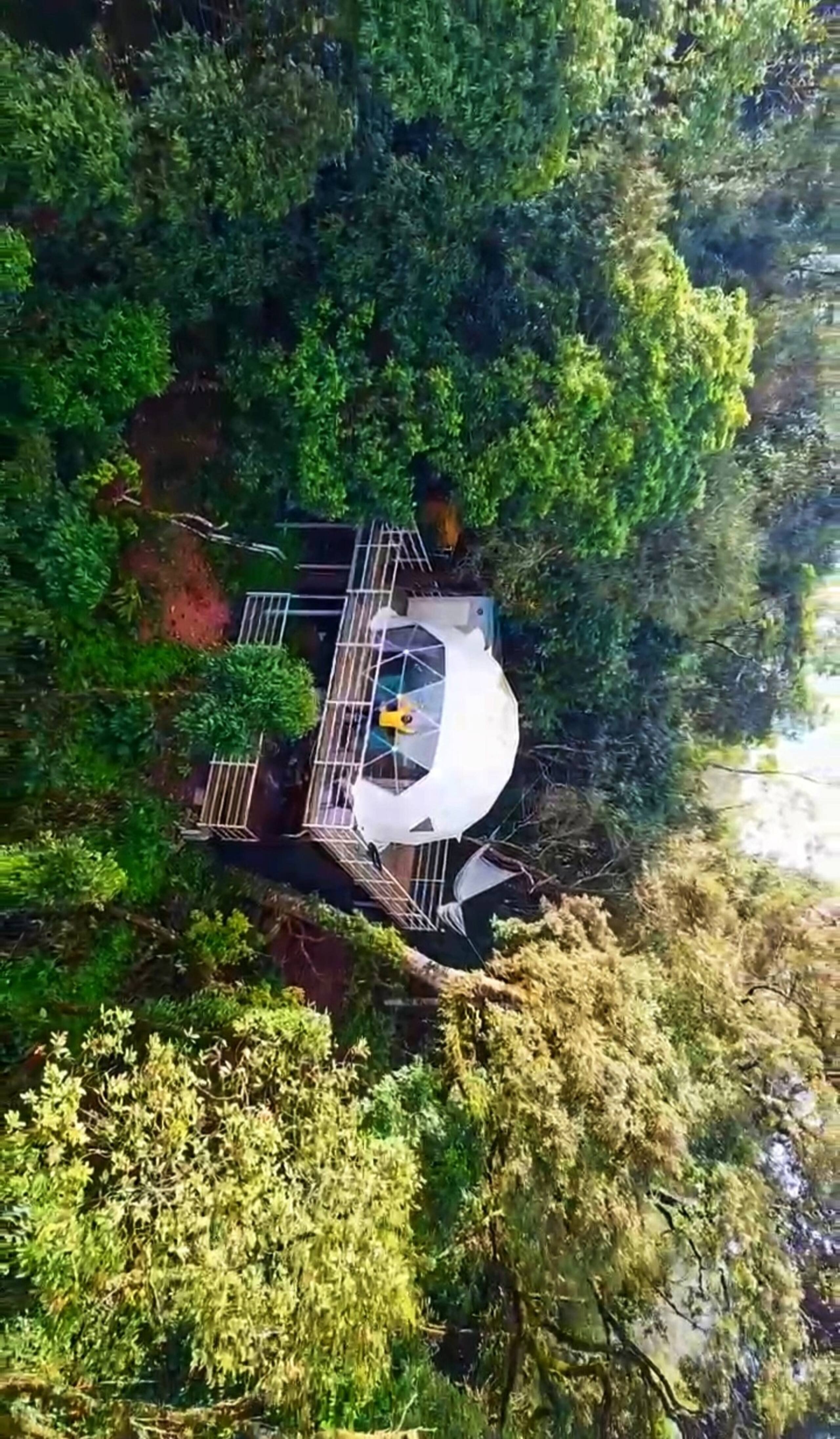 Luxury Tree GlampingDome Woodpecker coffee estate 34