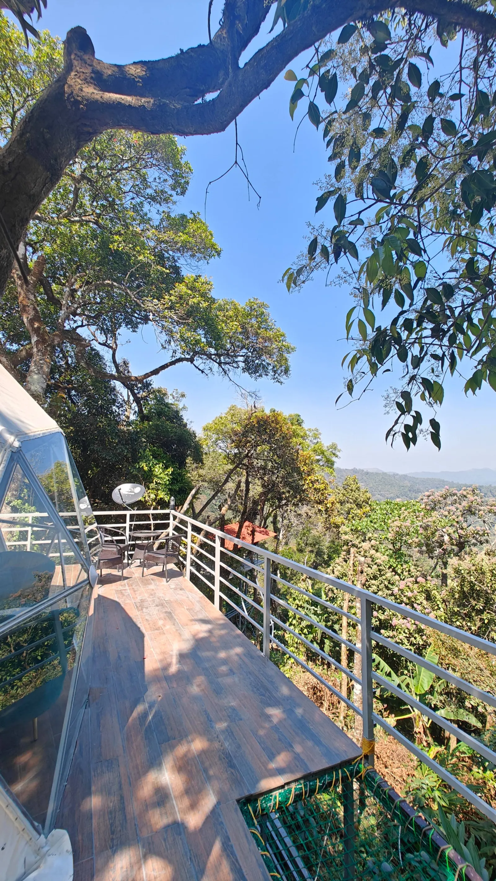 Luxury Tree GlampingDome Woodpecker coffee estate 2