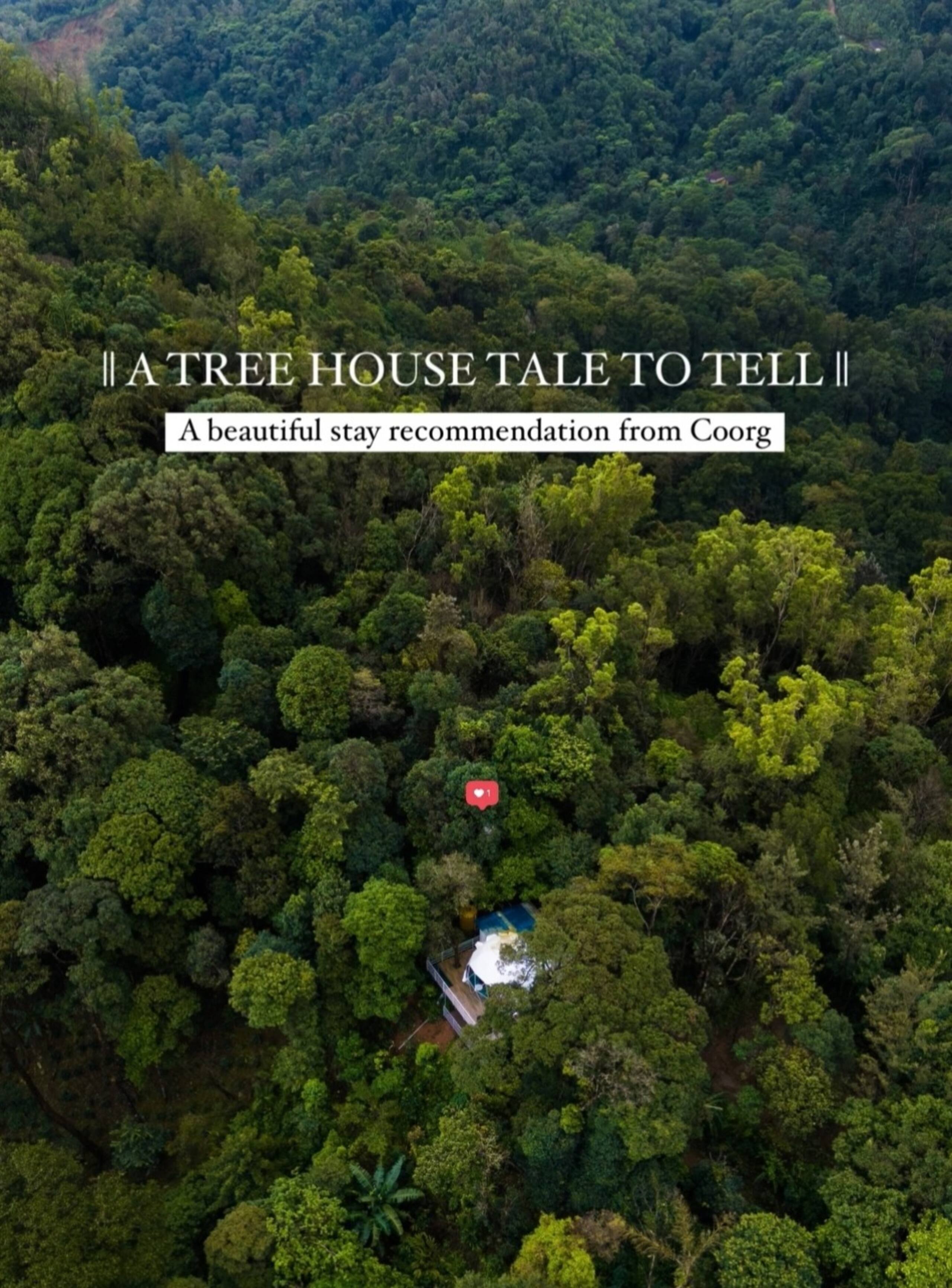 Luxury Tree GlampingDome Woodpecker coffee estate