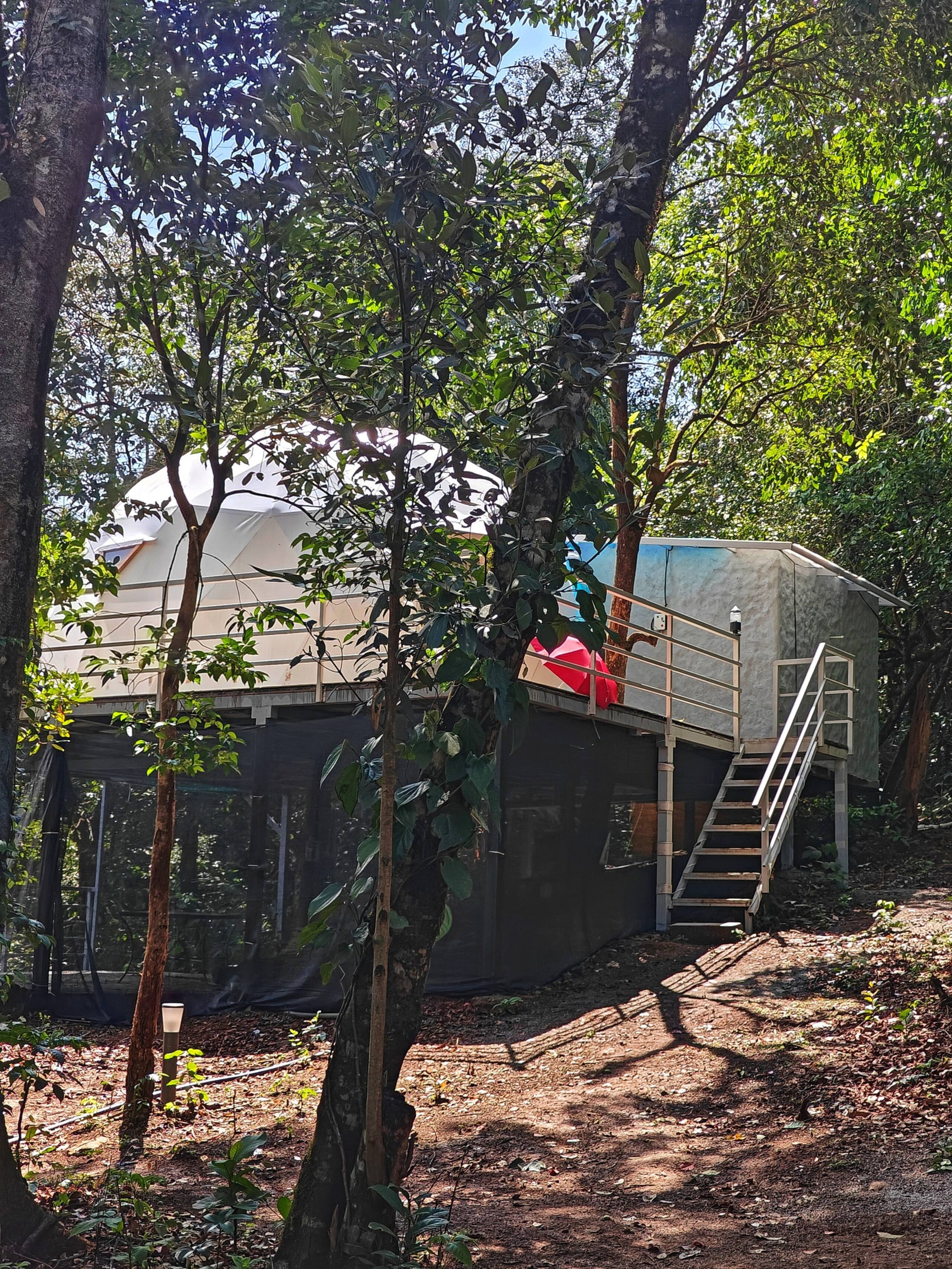 Luxury Tree GlampingDome Woodpecker coffee estate 38