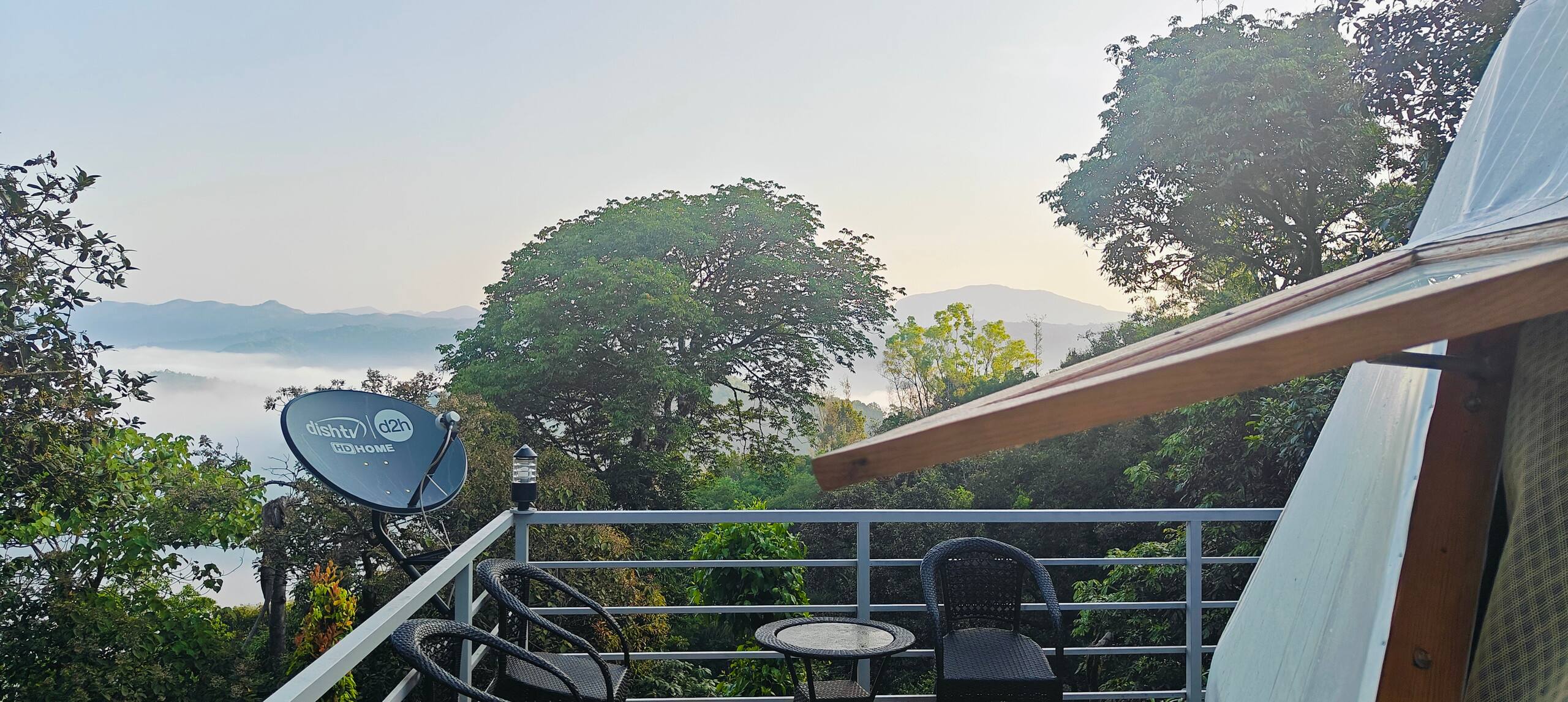 Luxury Tree GlampingDome Woodpecker coffee estate 30