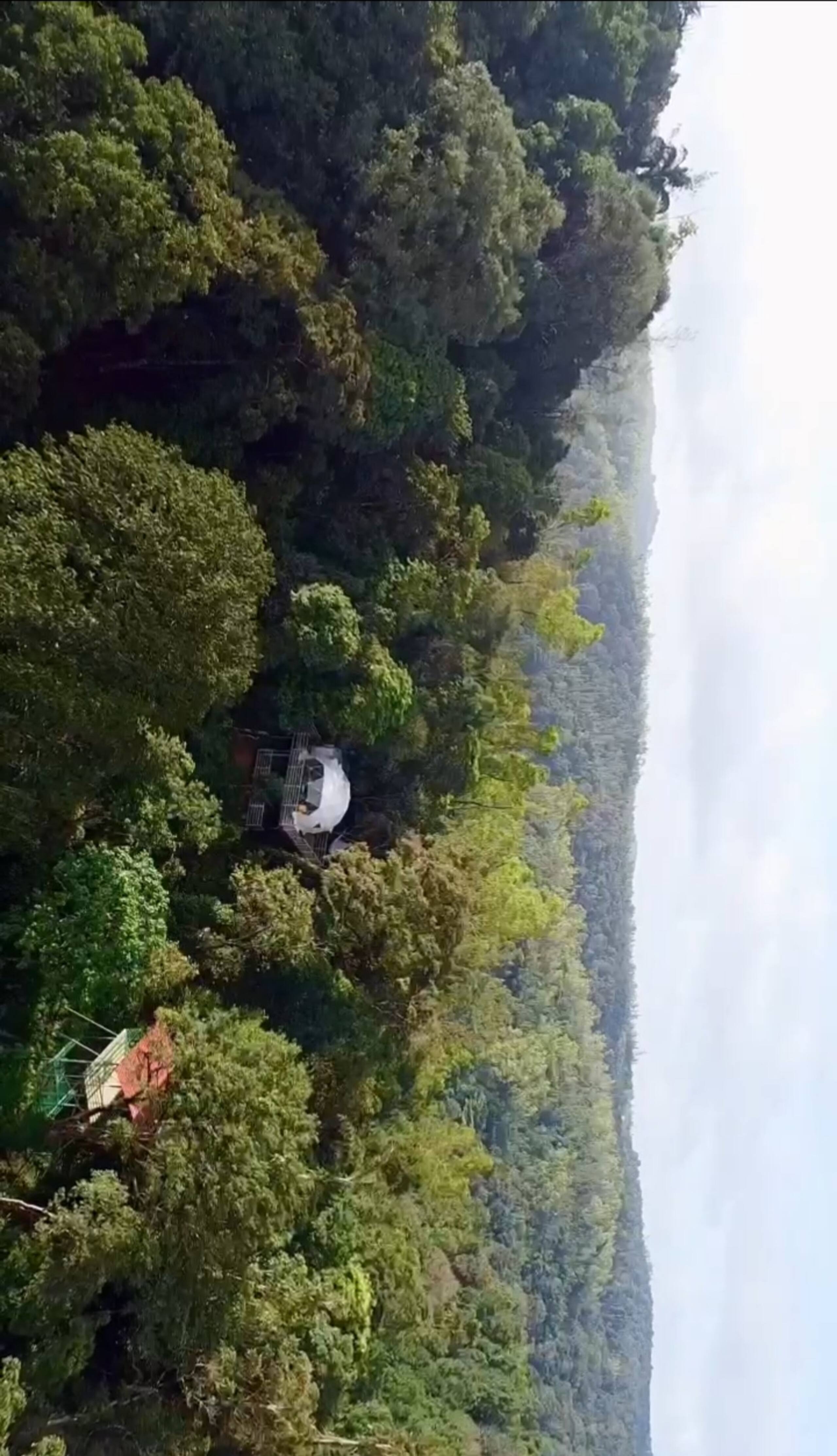 Luxury Tree GlampingDome Woodpecker coffee estate 33