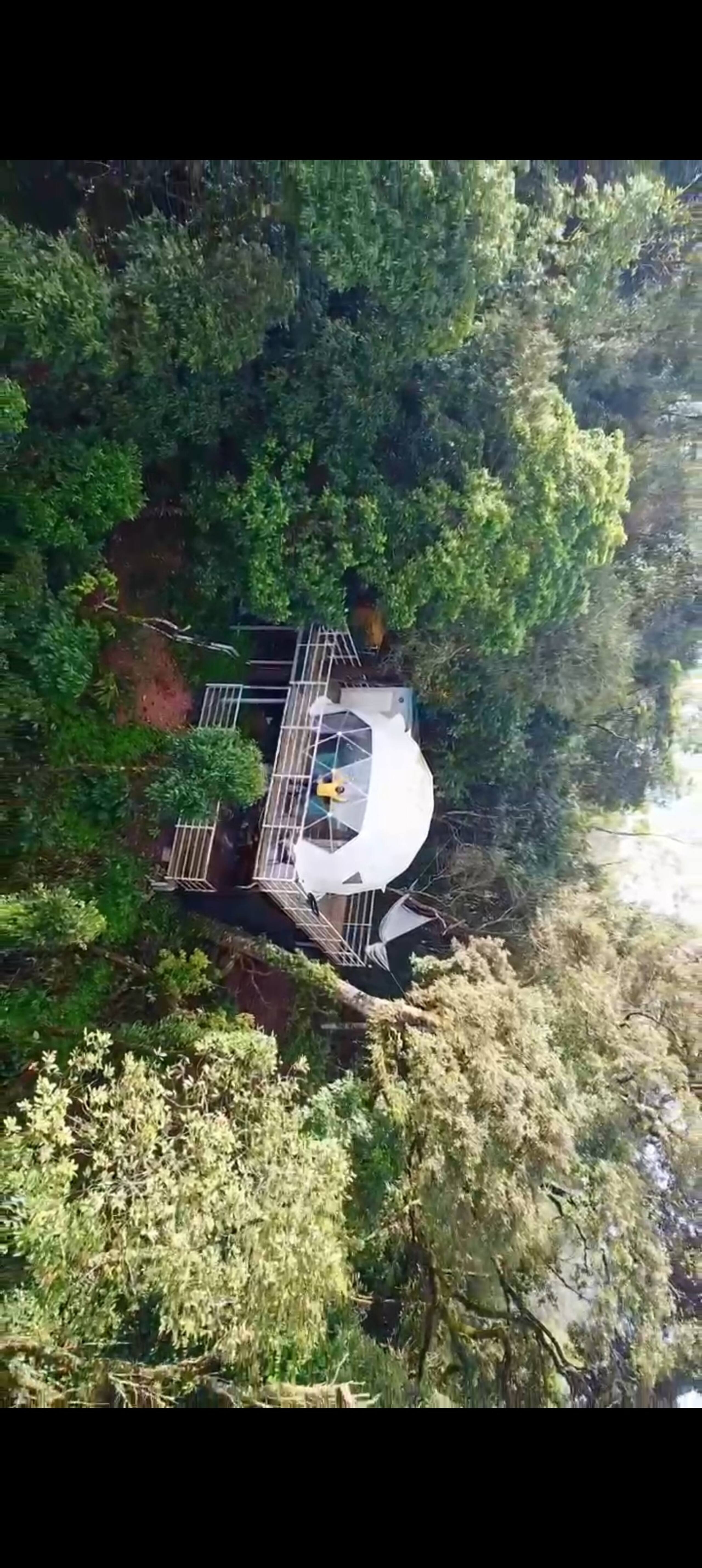 Luxury Tree GlampingDome Woodpecker coffee estate 4