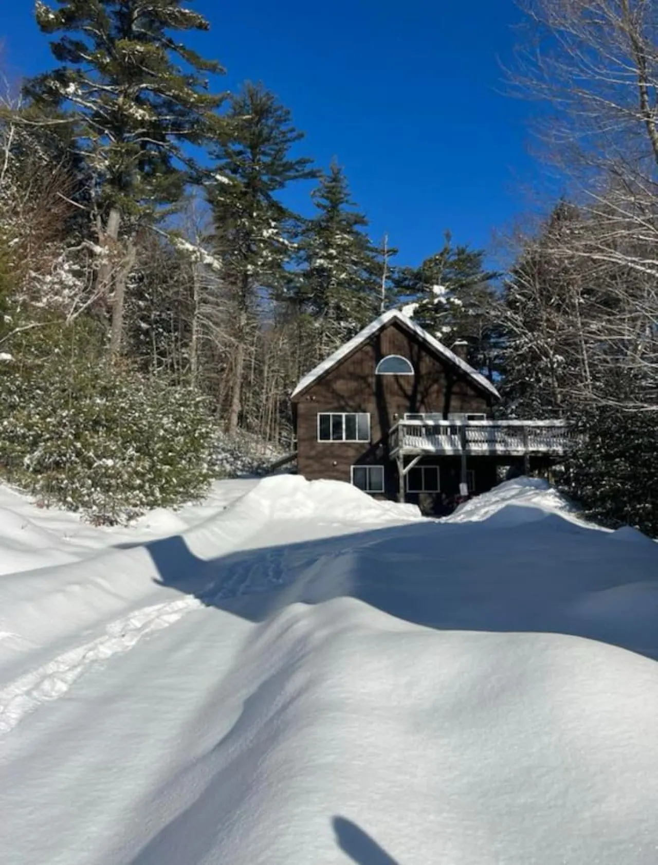 Trailside Hiking Bridgton 14