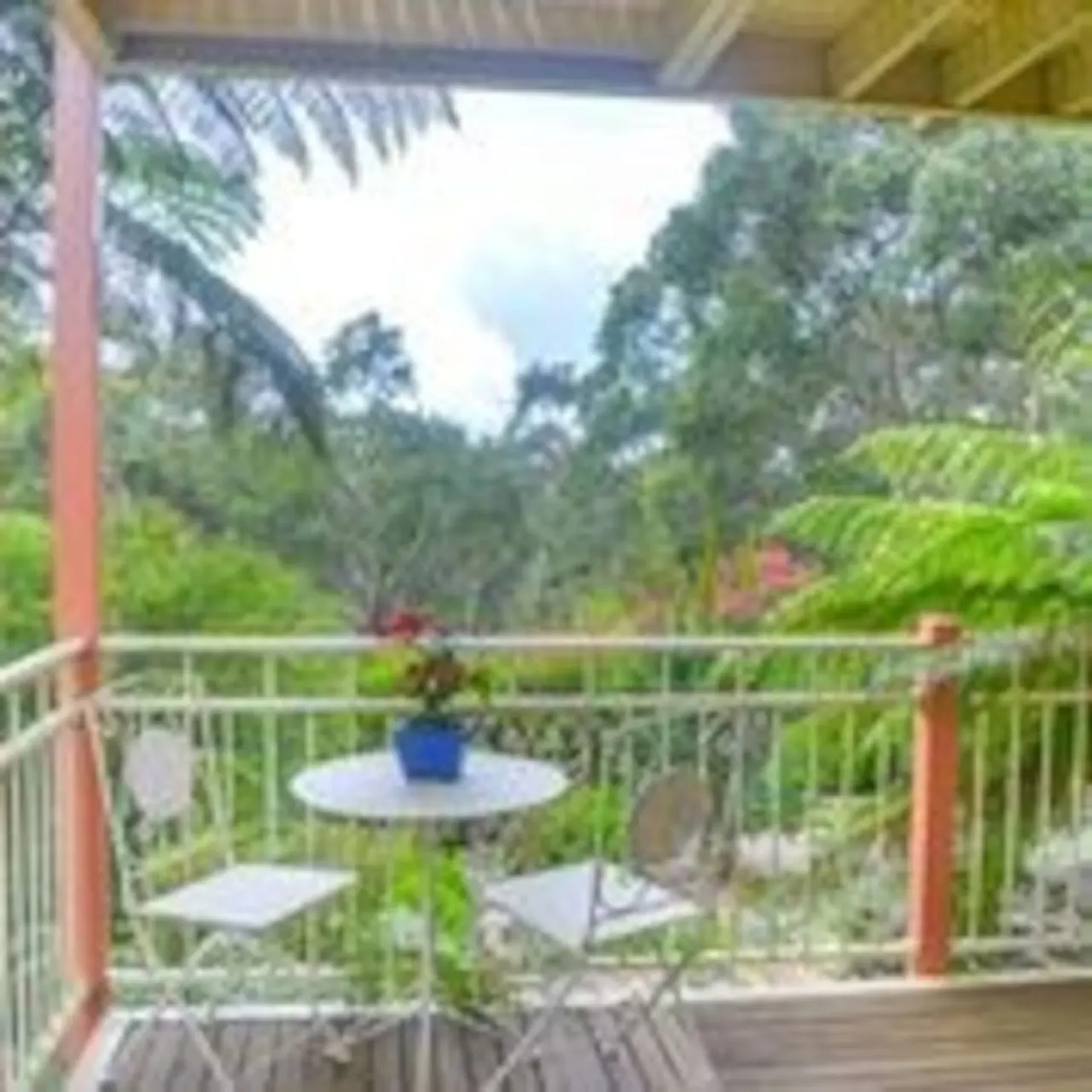 Sunday Creek, Katoomba - a breath of fresh air 16