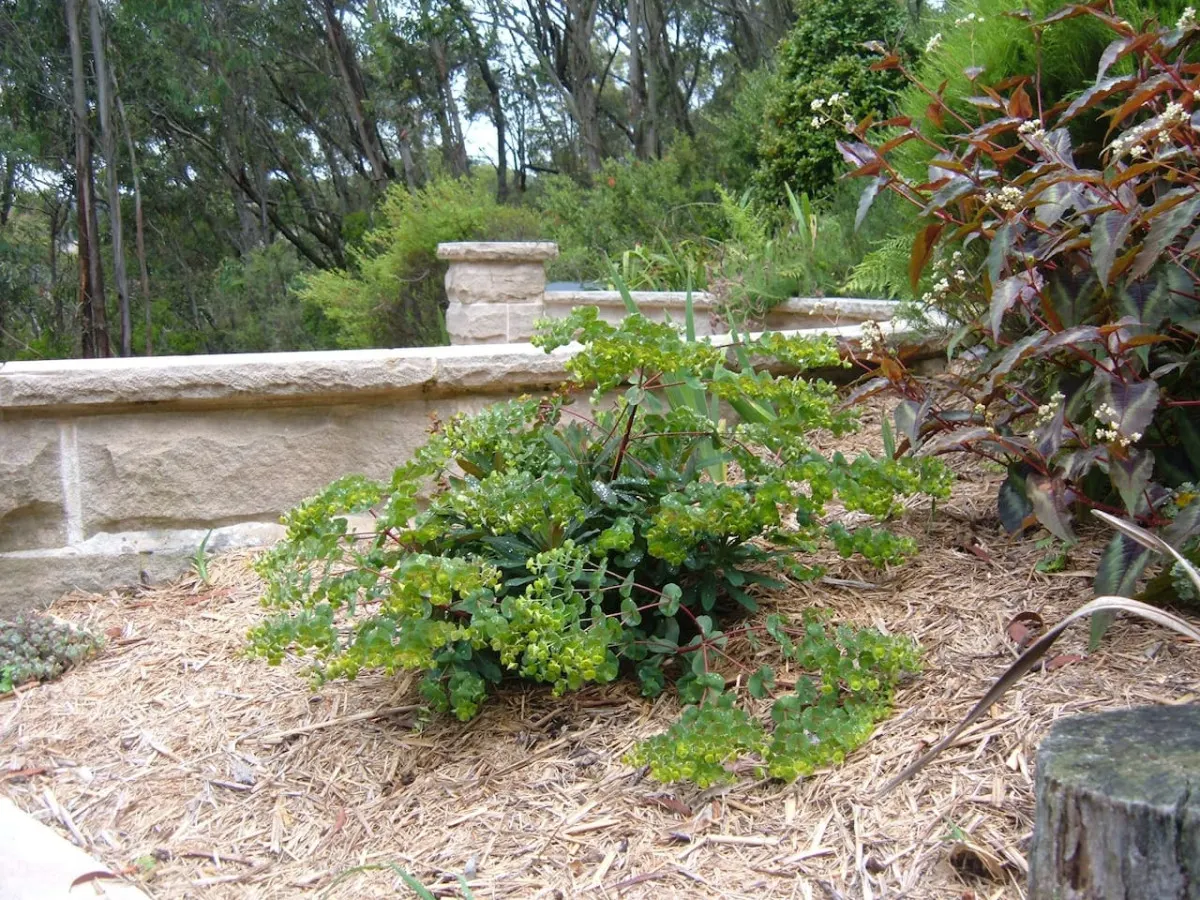 Sunday Creek, Katoomba - a breath of fresh air 17