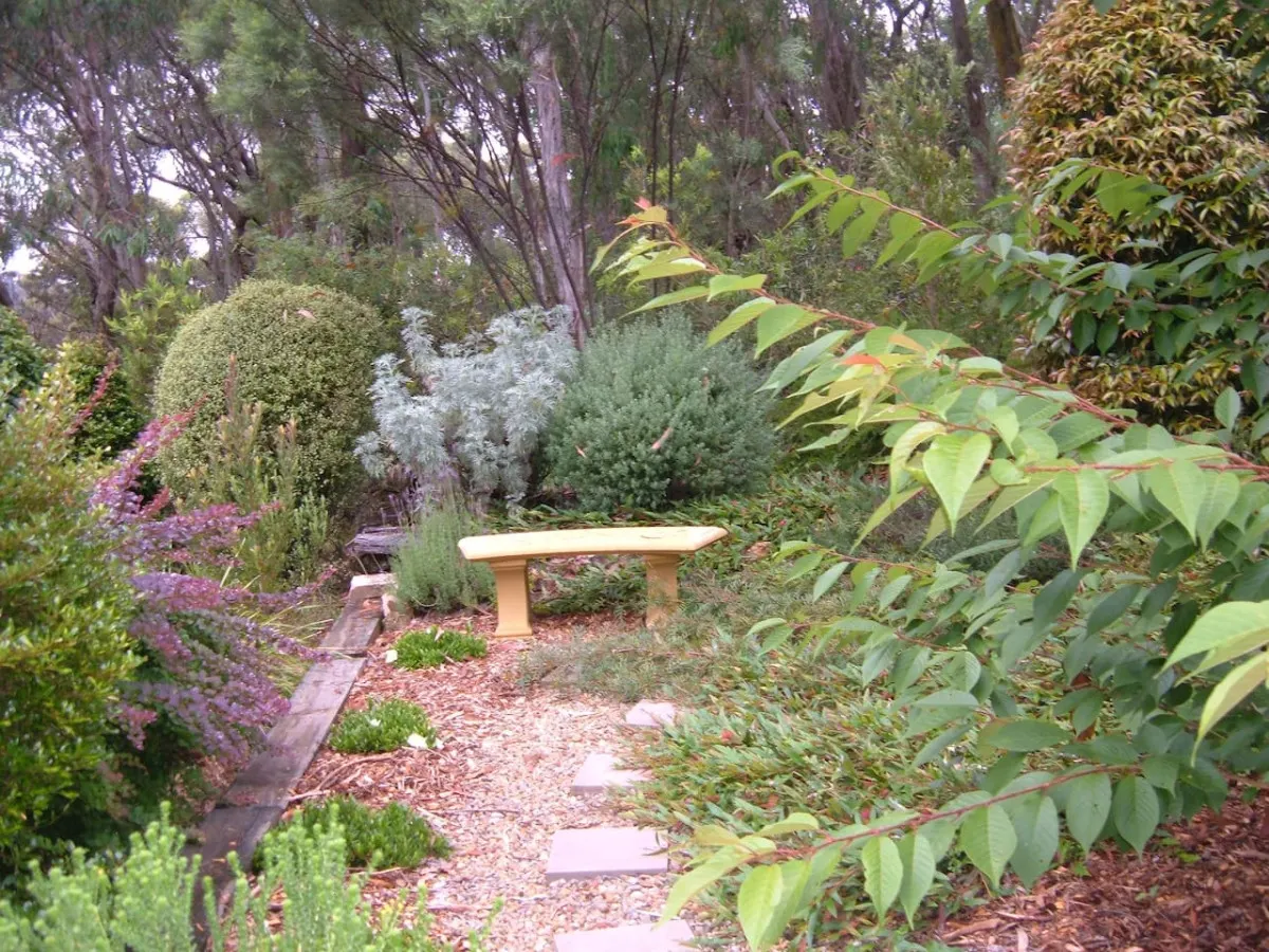 Sunday Creek, Katoomba - a breath of fresh air 19